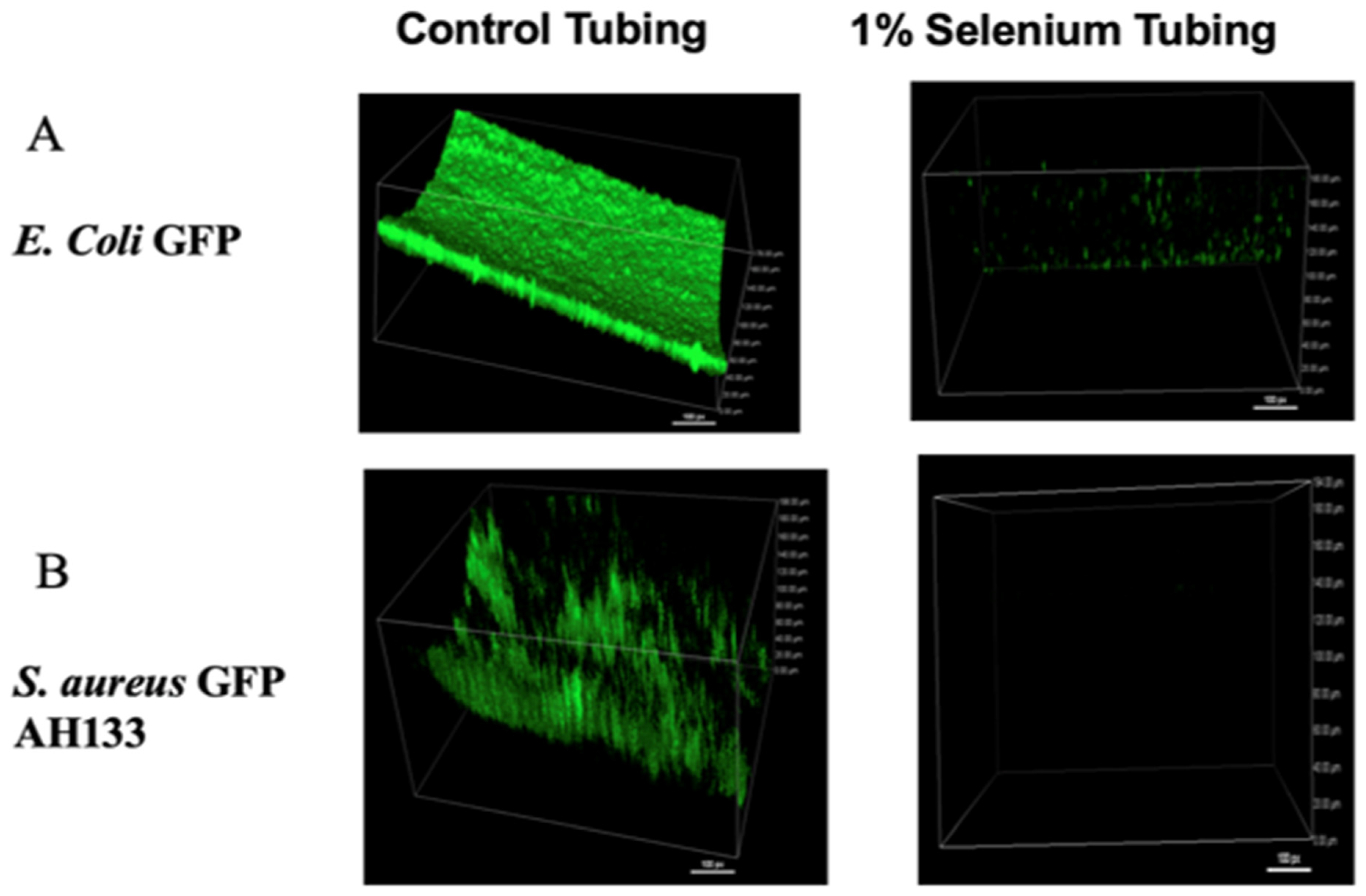 Antibiotics 11 01683 g001