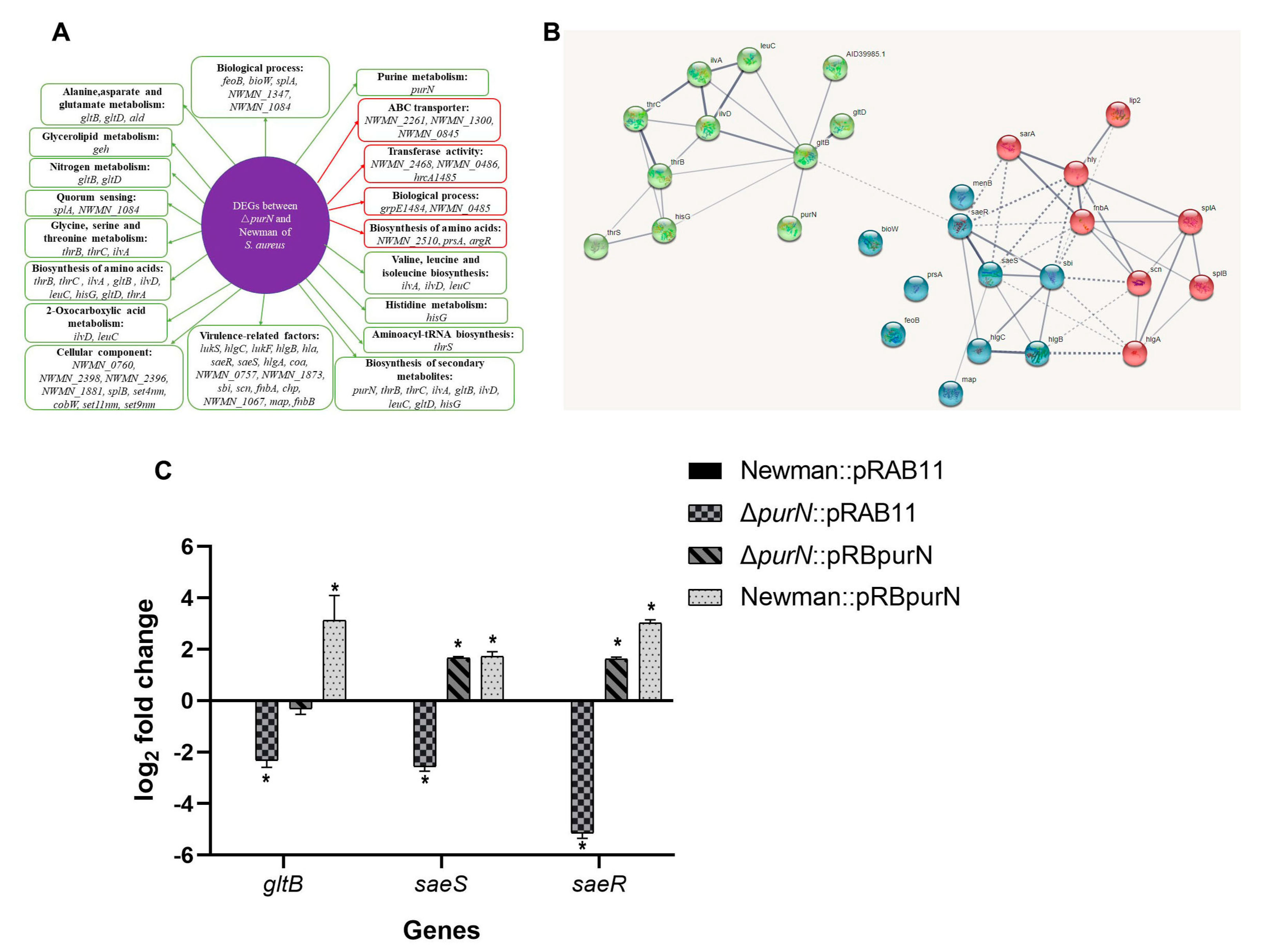 Antibiotics 11 01702 g004