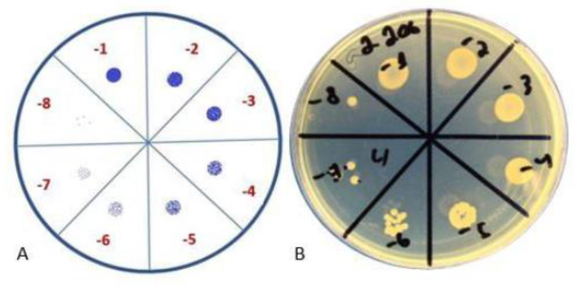 Antibiotics 11 01706 g003
