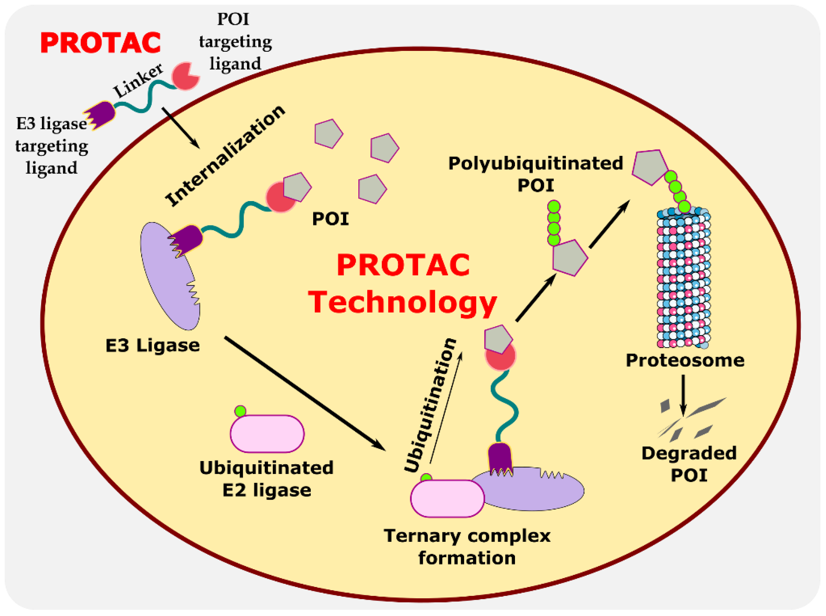 Antibiotics 11 01717 g001