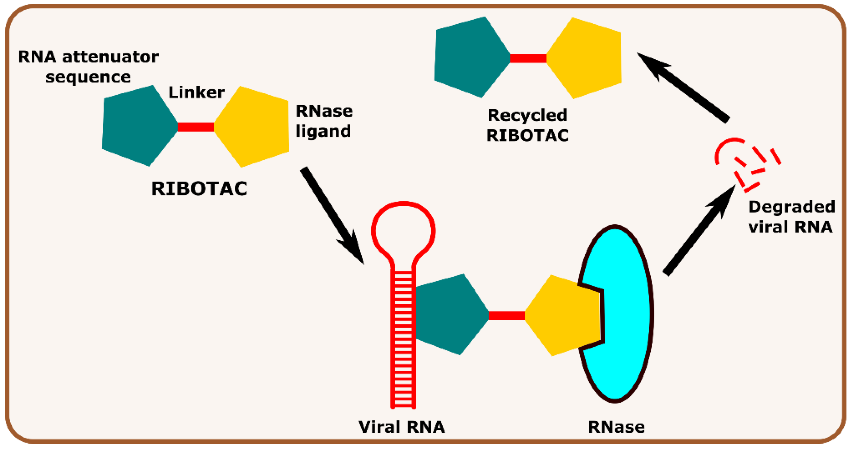 Antibiotics 11 01717 g003