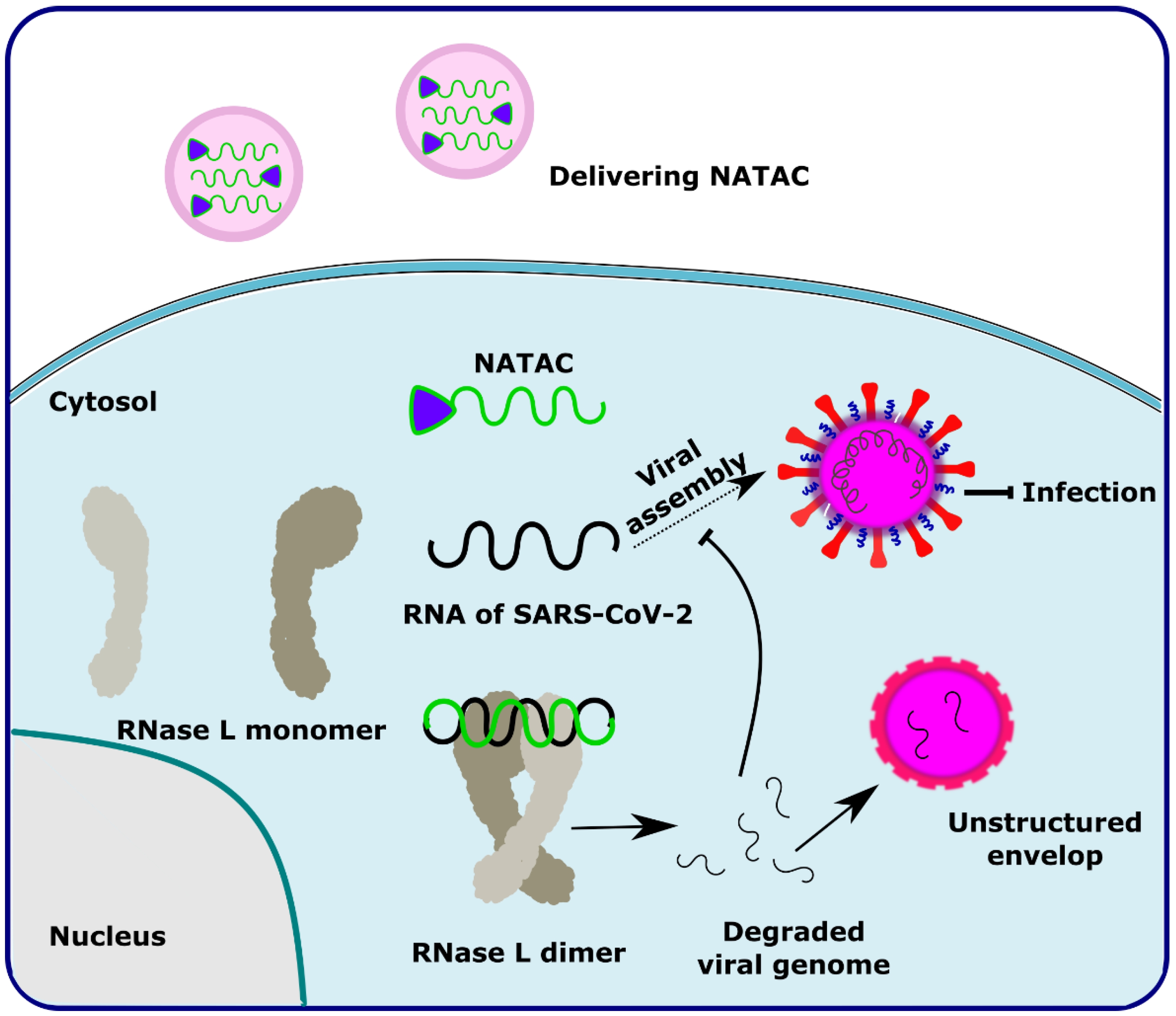 Antibiotics 11 01717 g005