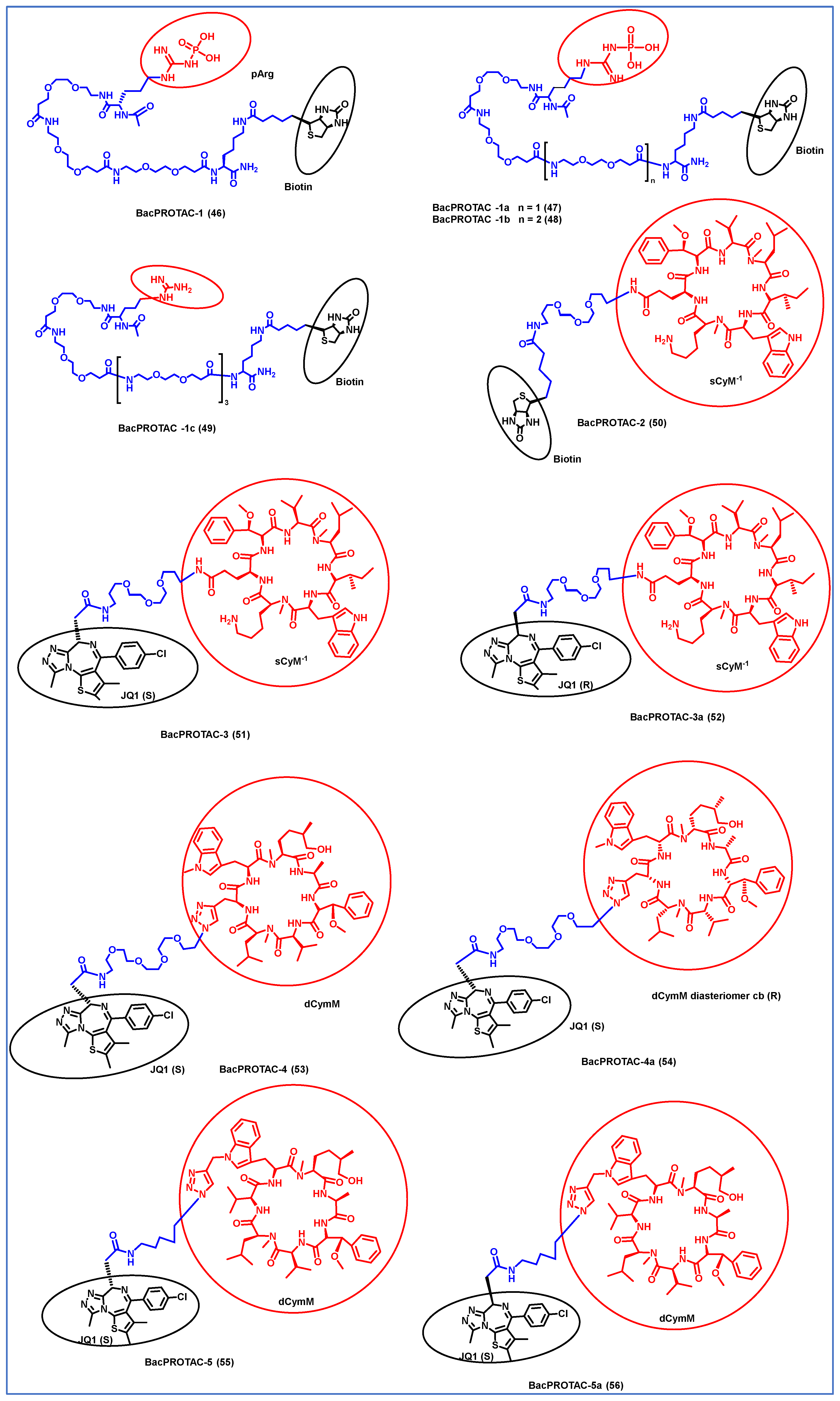 Antibiotics 11 01717 g007