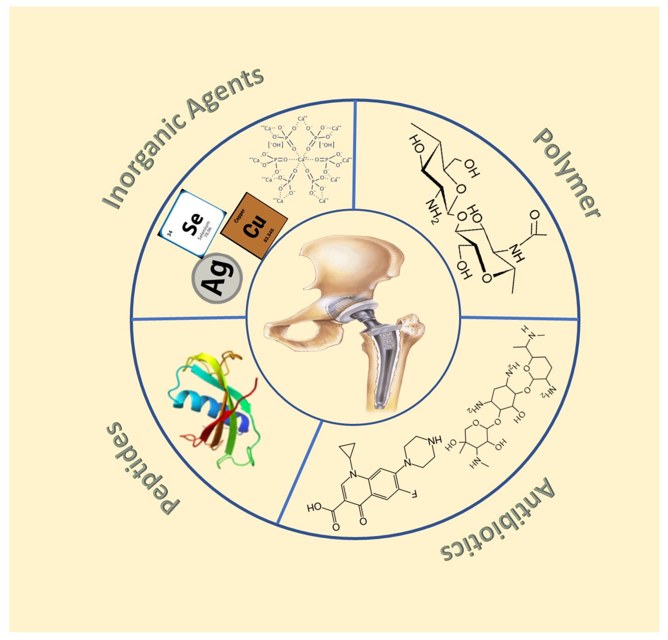 Antibiotics 11 01719 g002
