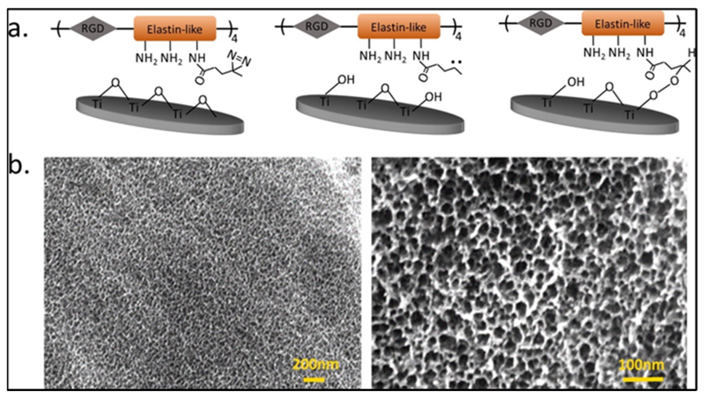 Antibiotics 11 01719 g004
