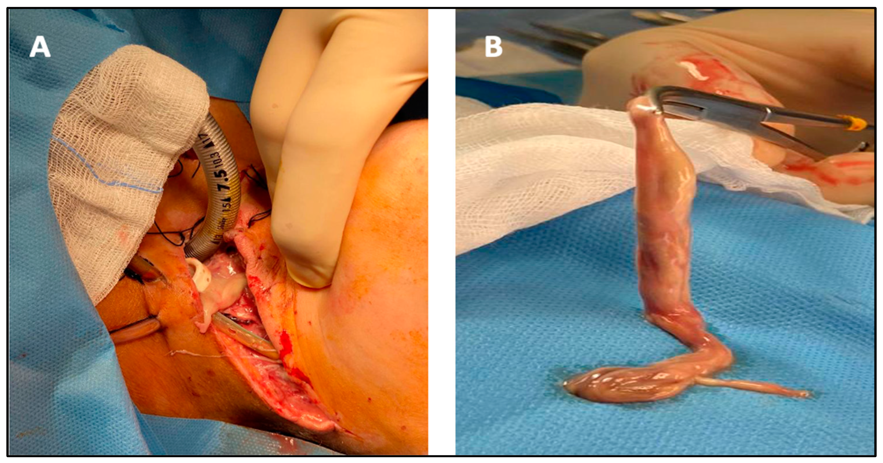 Antibiotics 11 01757 g002 Antibiotics 11 01757 g002