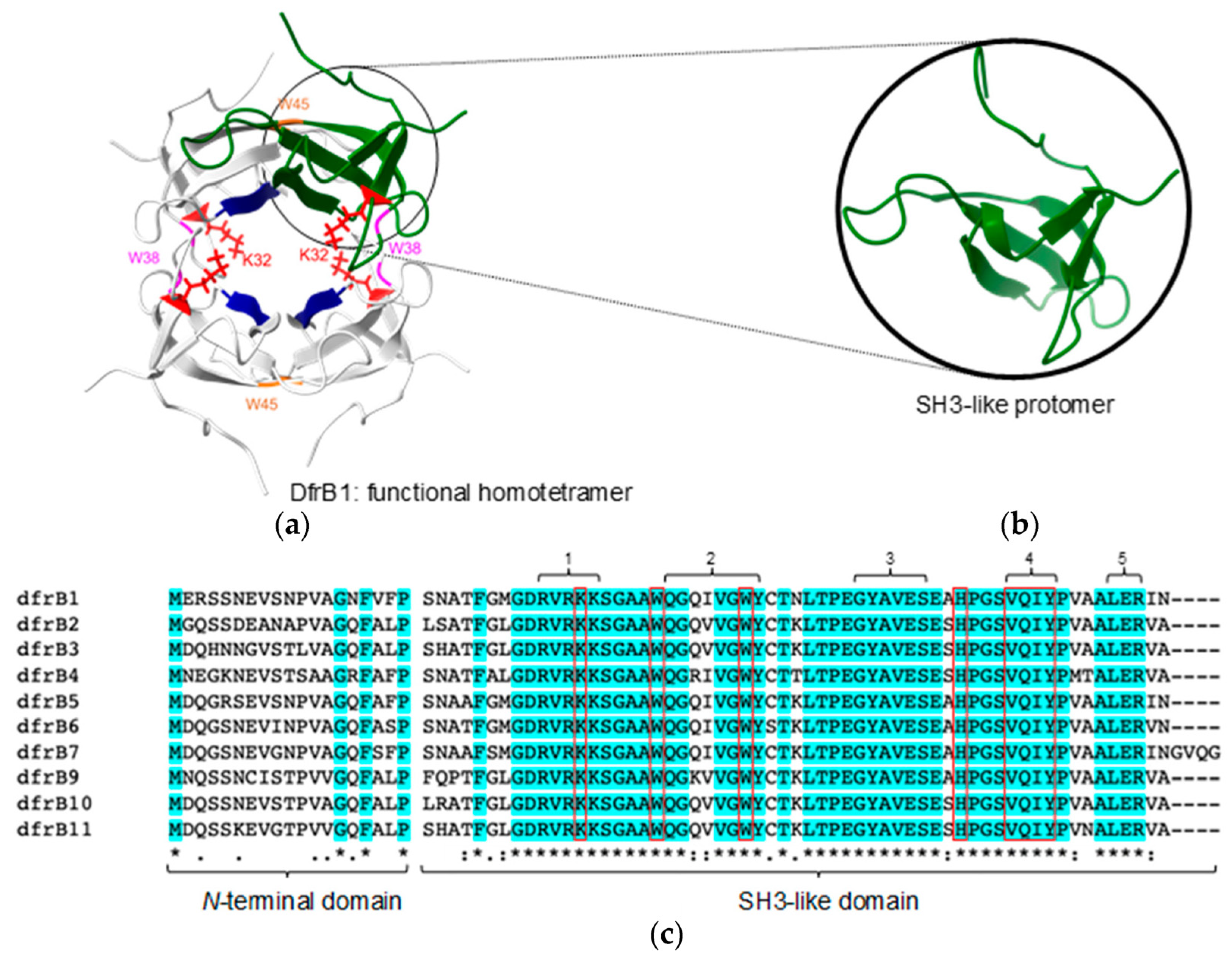 Antibiotics 11 01768 g001