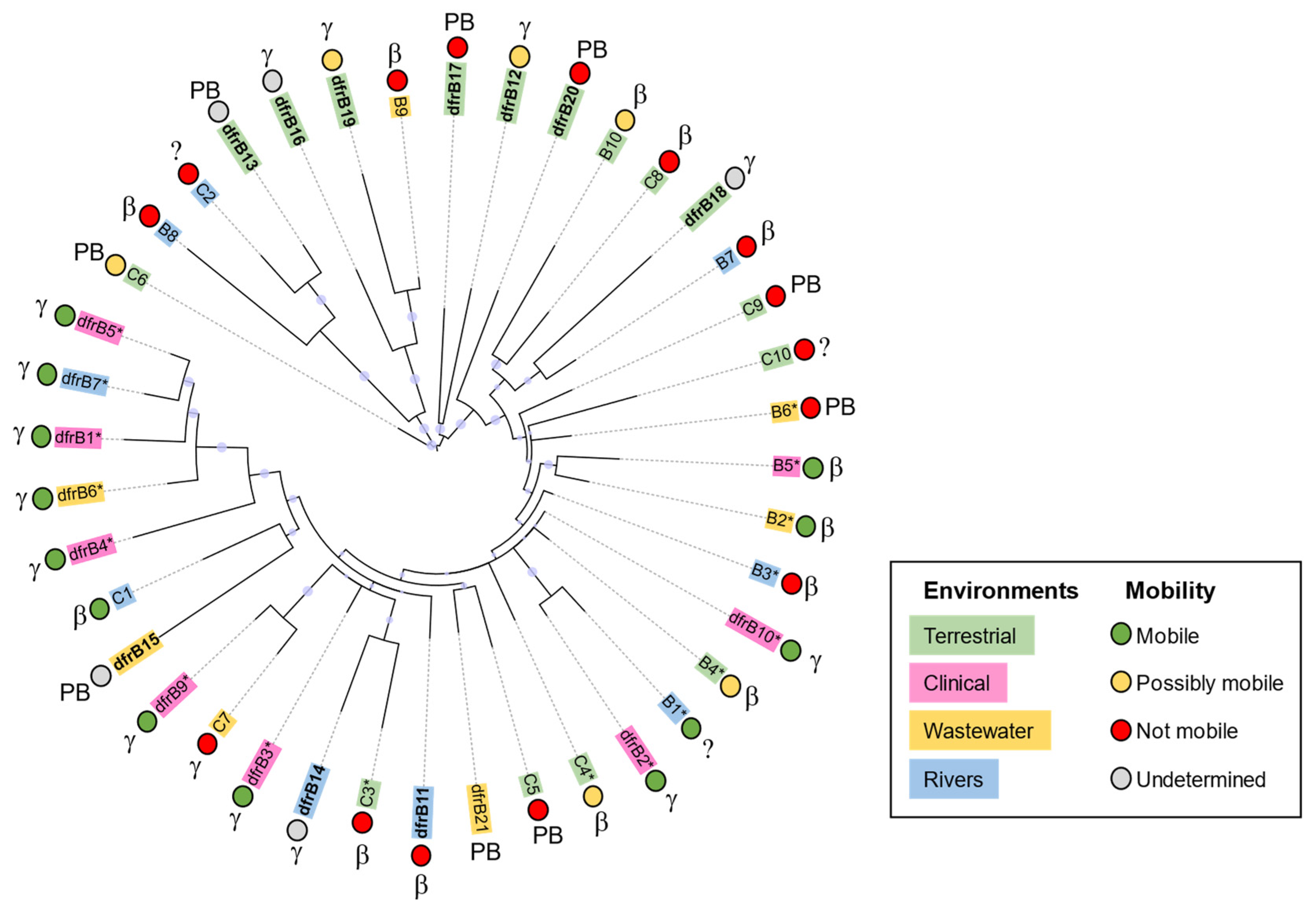 Antibiotics 11 01768 g003