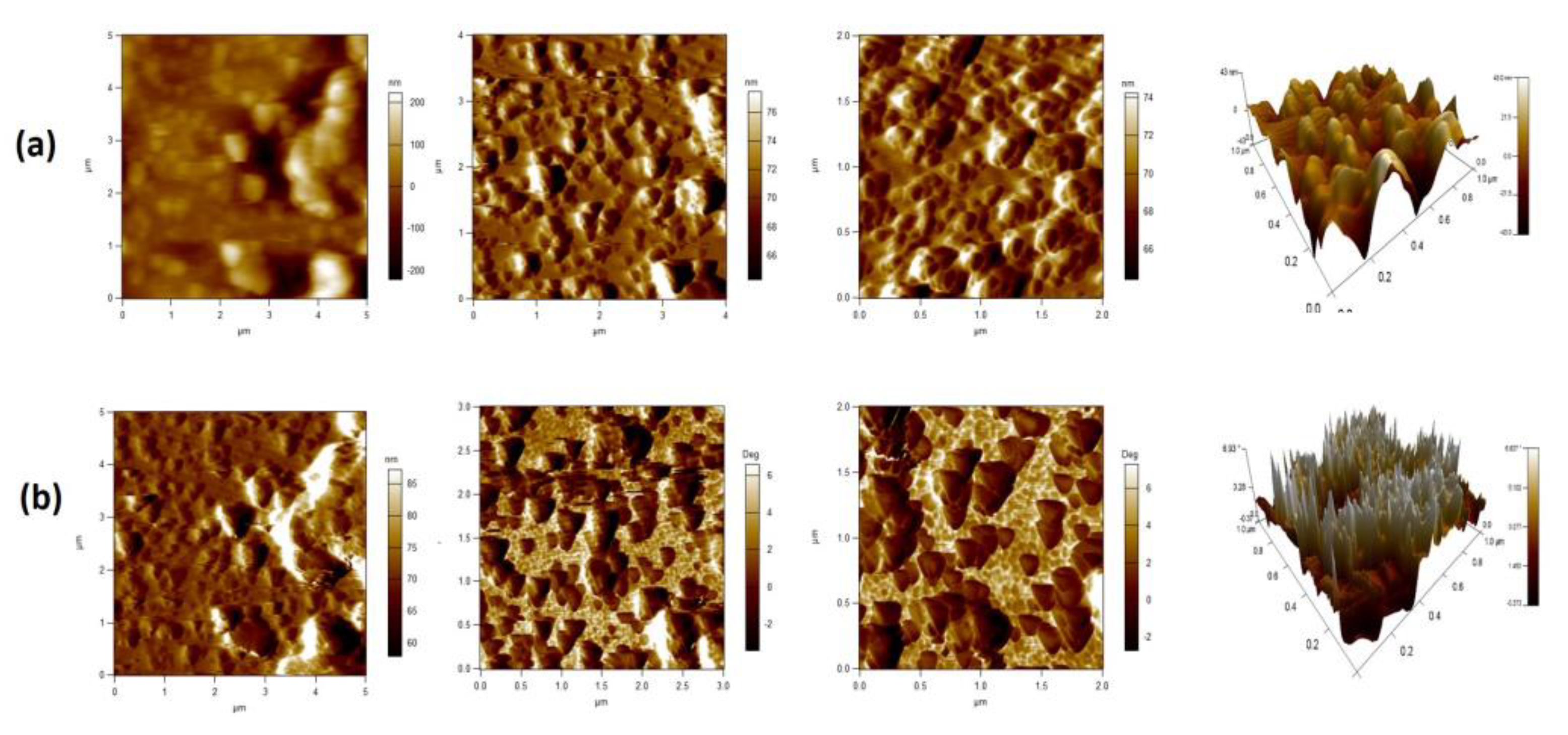Antibiotics 11 01780 g006
