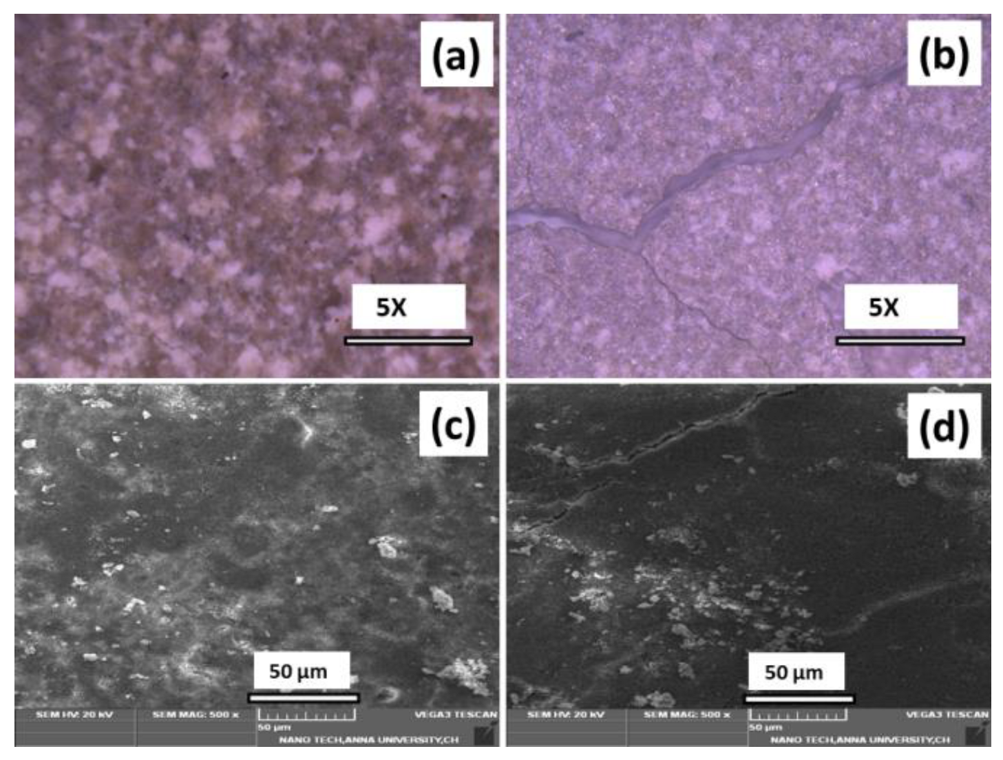 Antibiotics 11 01780 g010