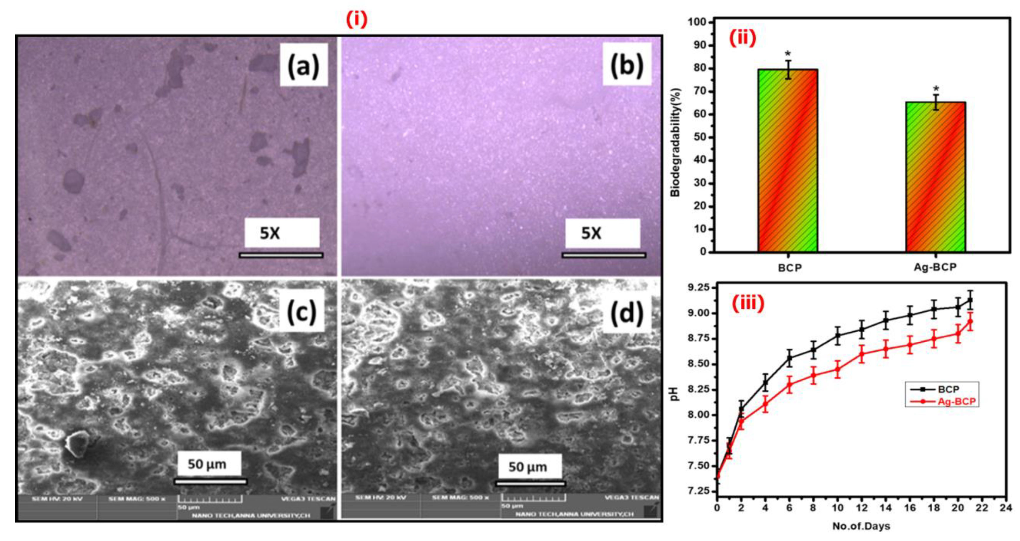 Antibiotics 11 01780 g011