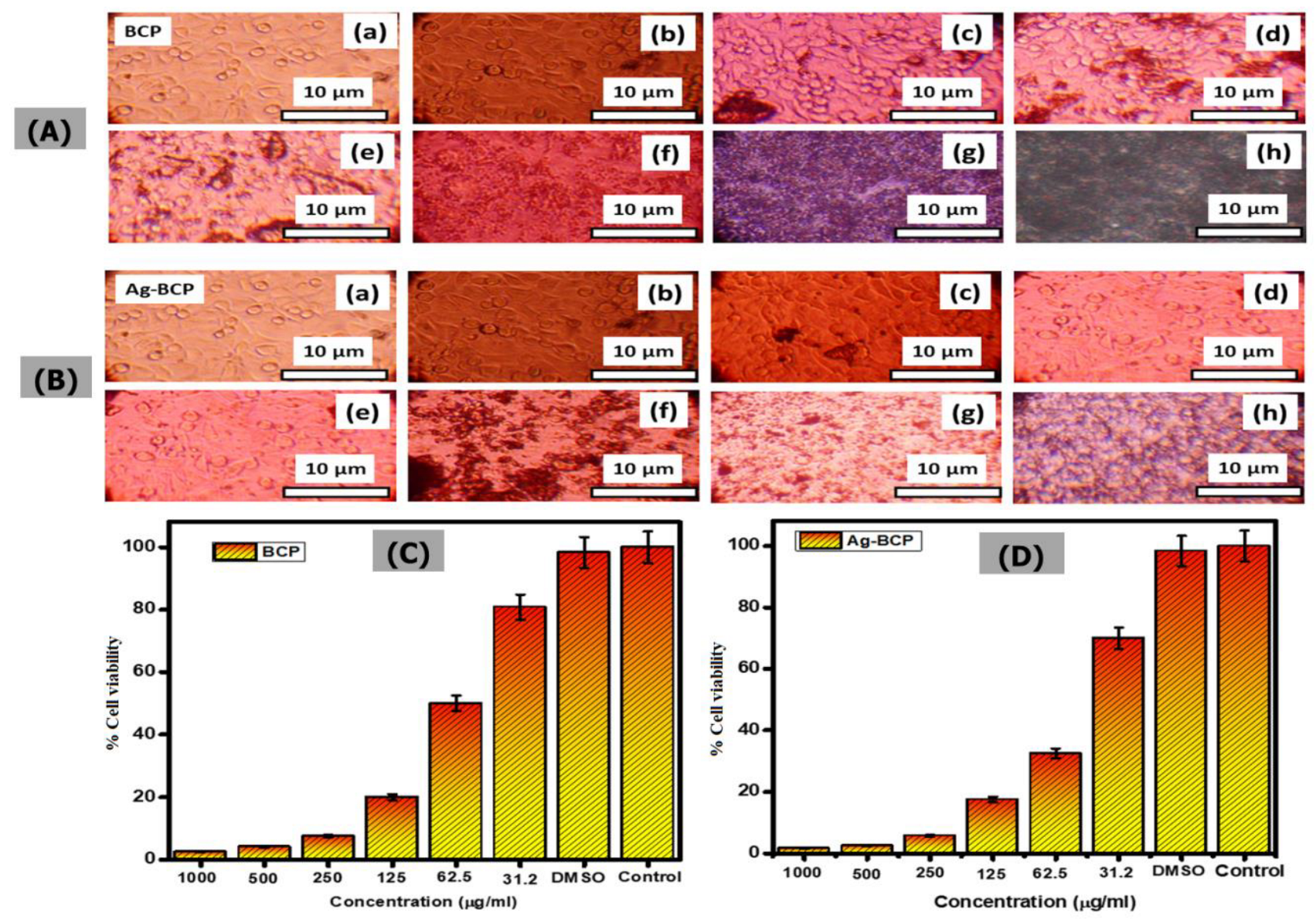 Antibiotics 11 01780 g014