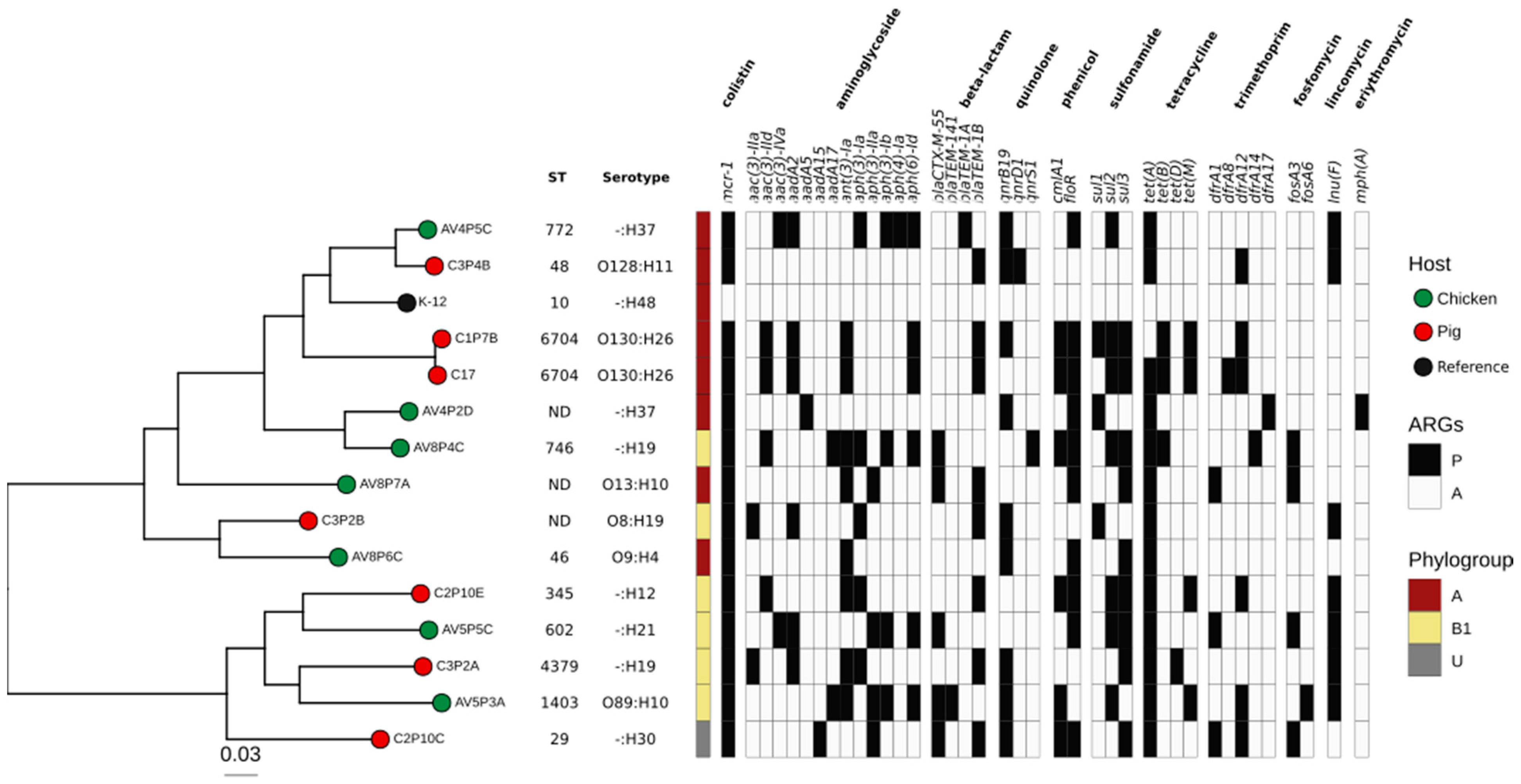 Antibiotics 11 01781 g002