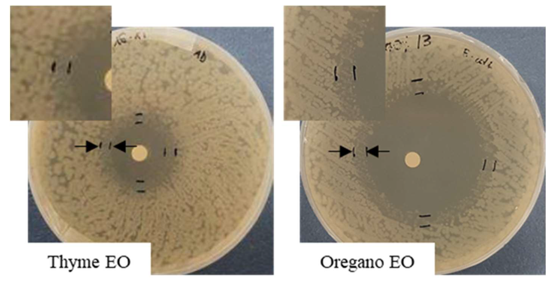 Antibiotics 11 01809 g003