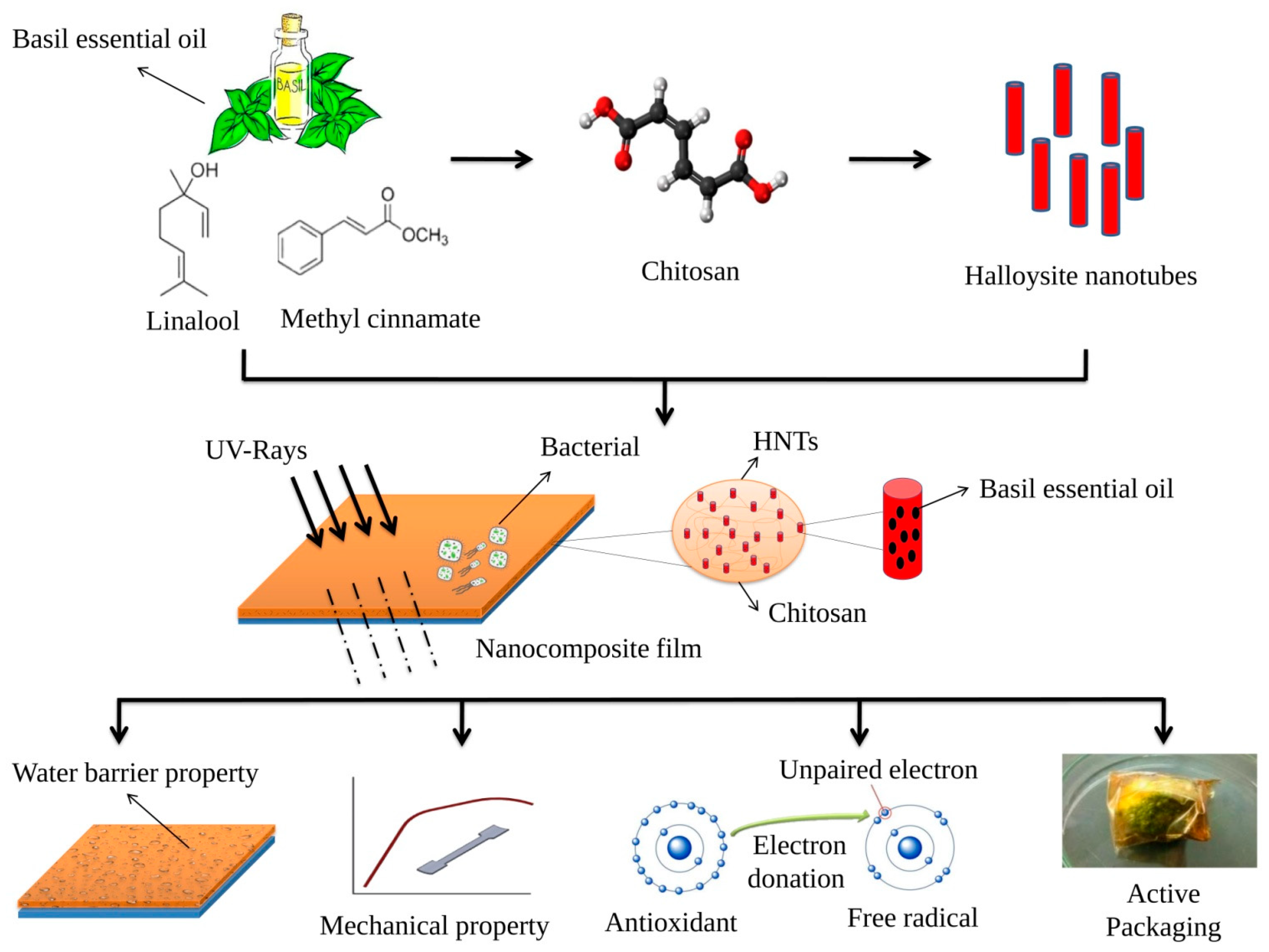 Antibiotics 11 01820 g010