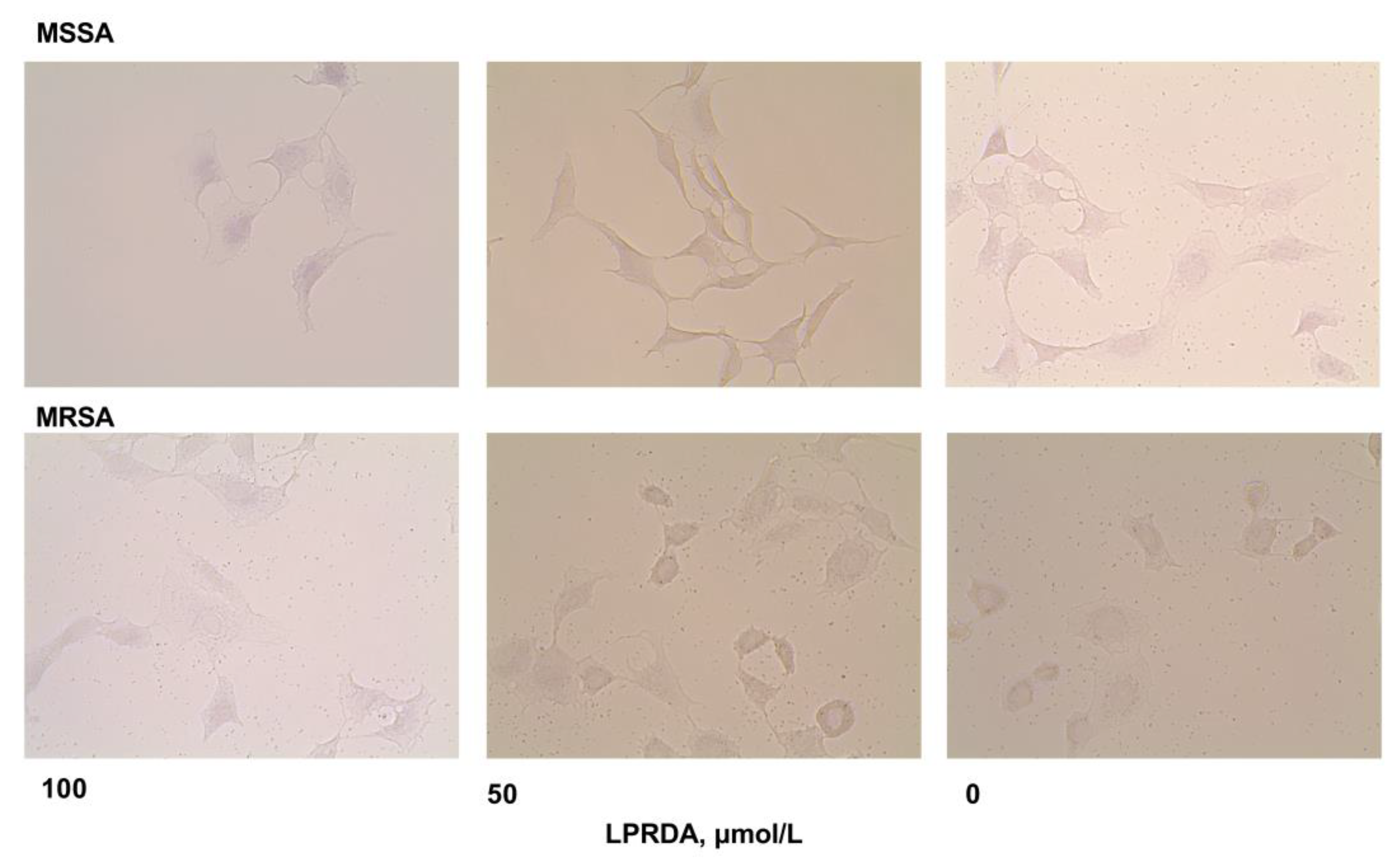 Antibiotics 11 01836 g002