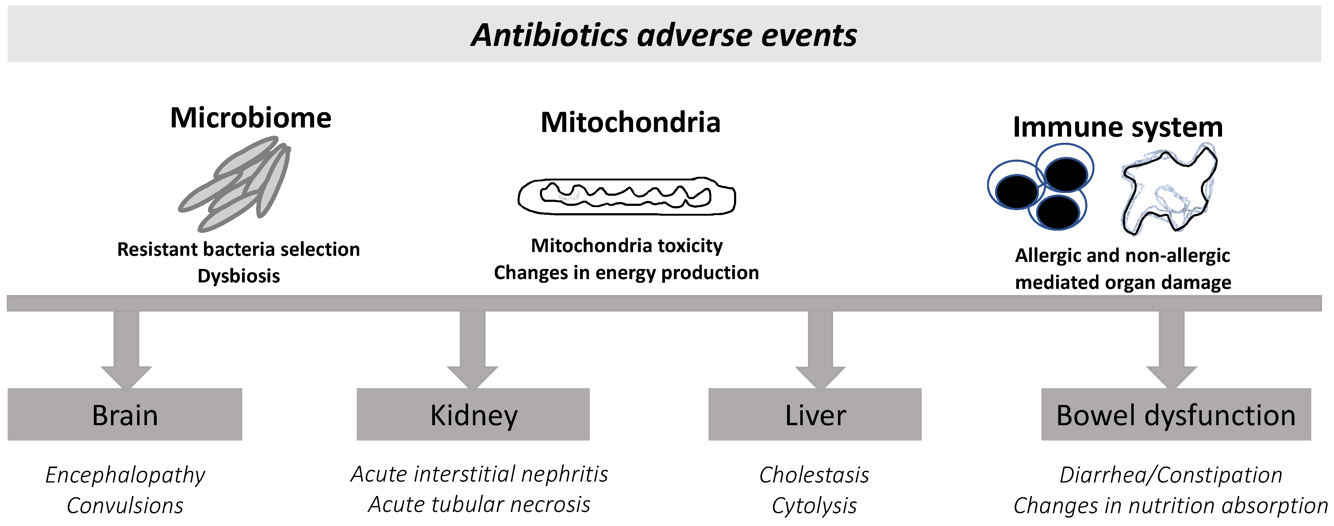 Antibiotics 11 01839 g004