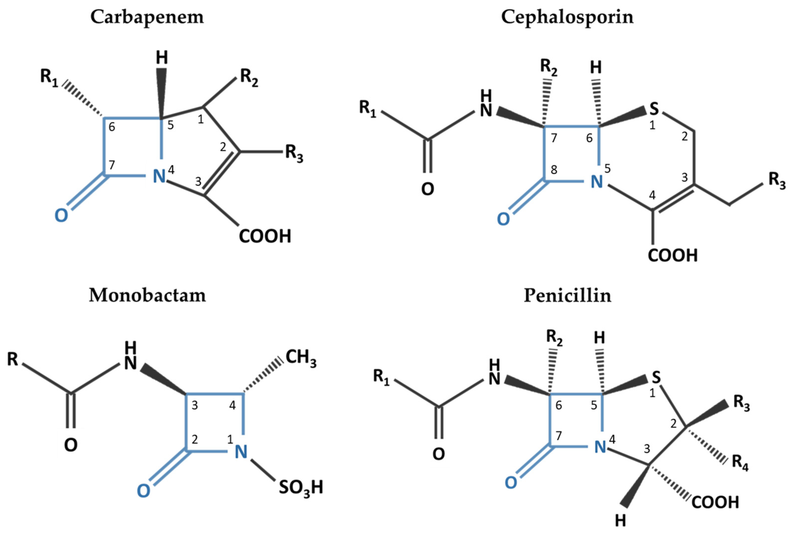 Antibiotics 11 01843 g001