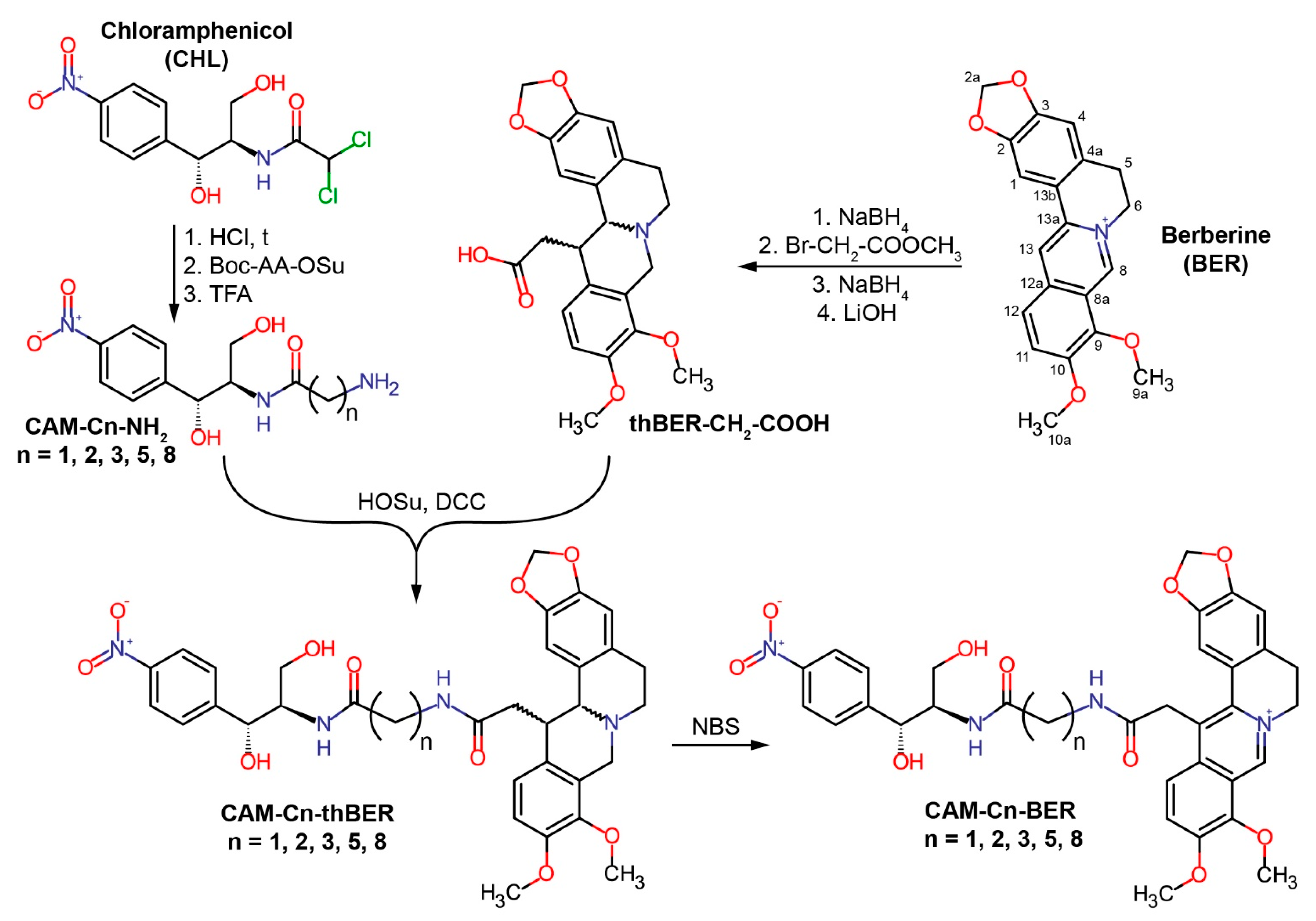 Antibiotics 12 00015 g001
