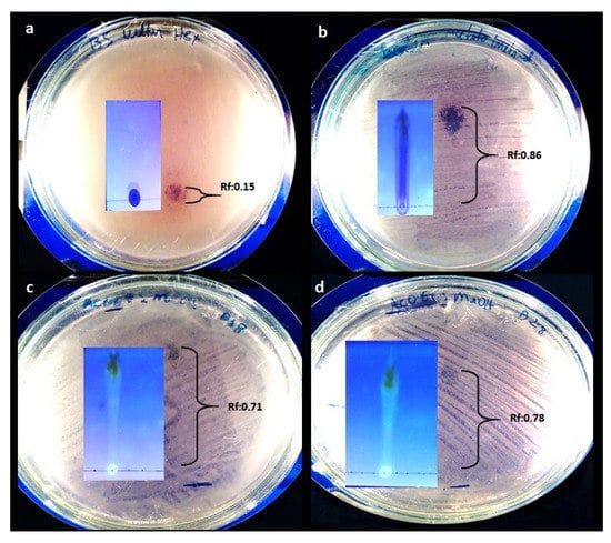 Antibiotics 12 00027 g0a2