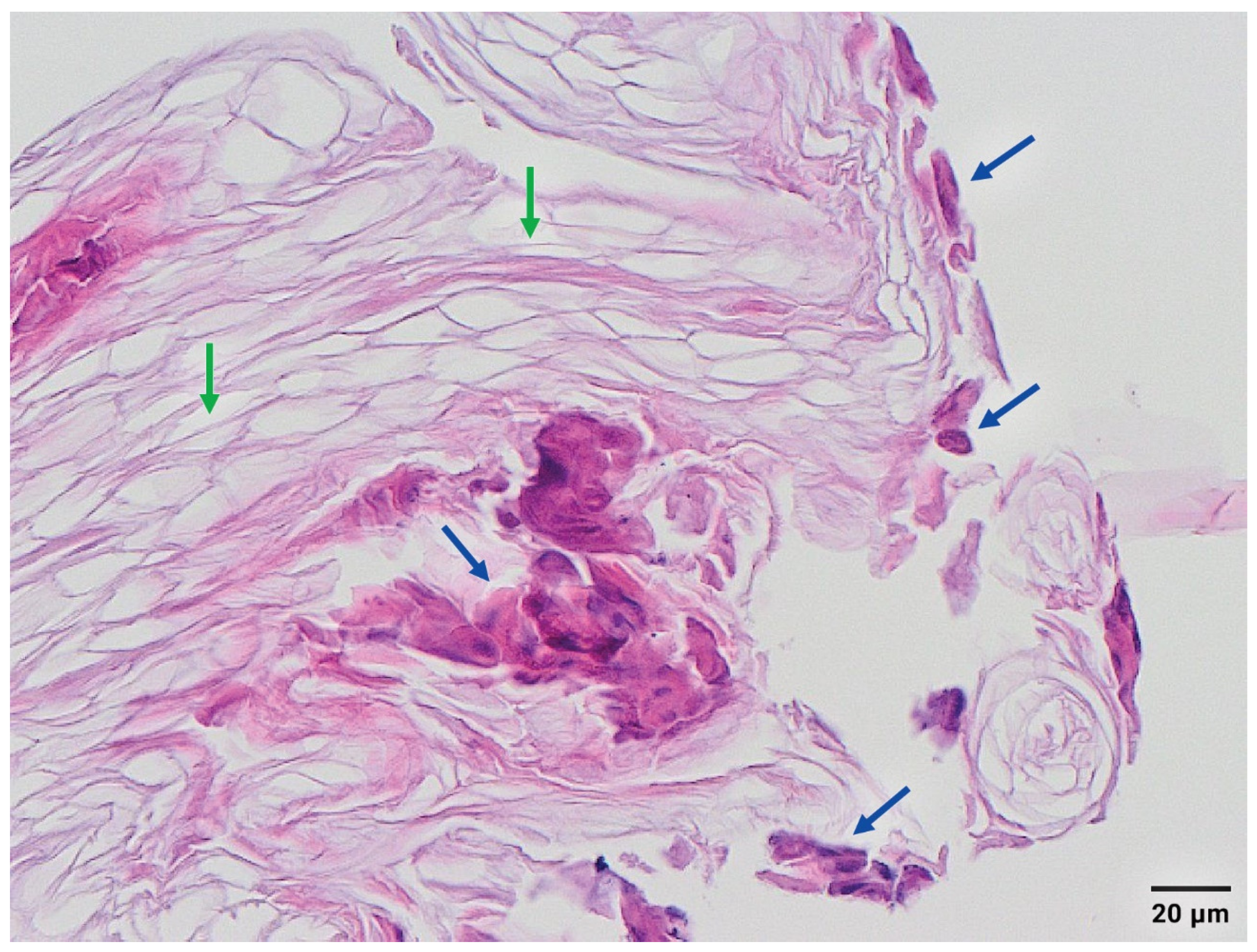 Antibiotics 12 00038 g002 Antibiotics 12 00038 g002