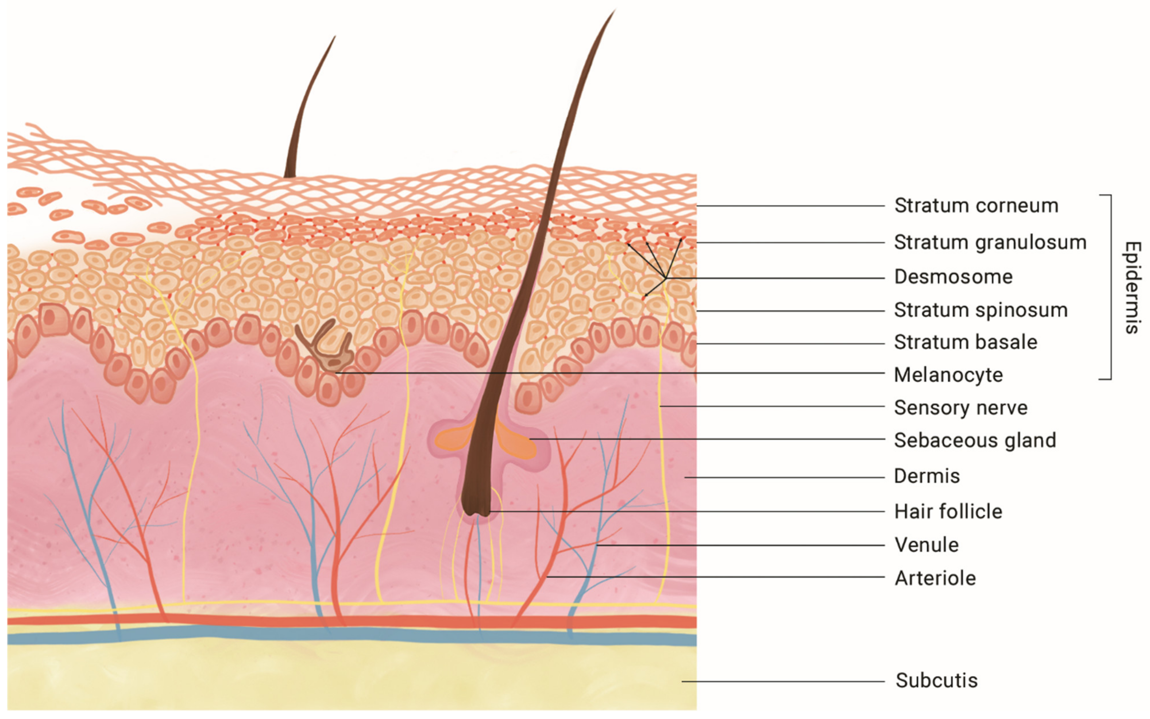 Antibiotics 12 00038 g003 Antibiotics 12 00038 g003