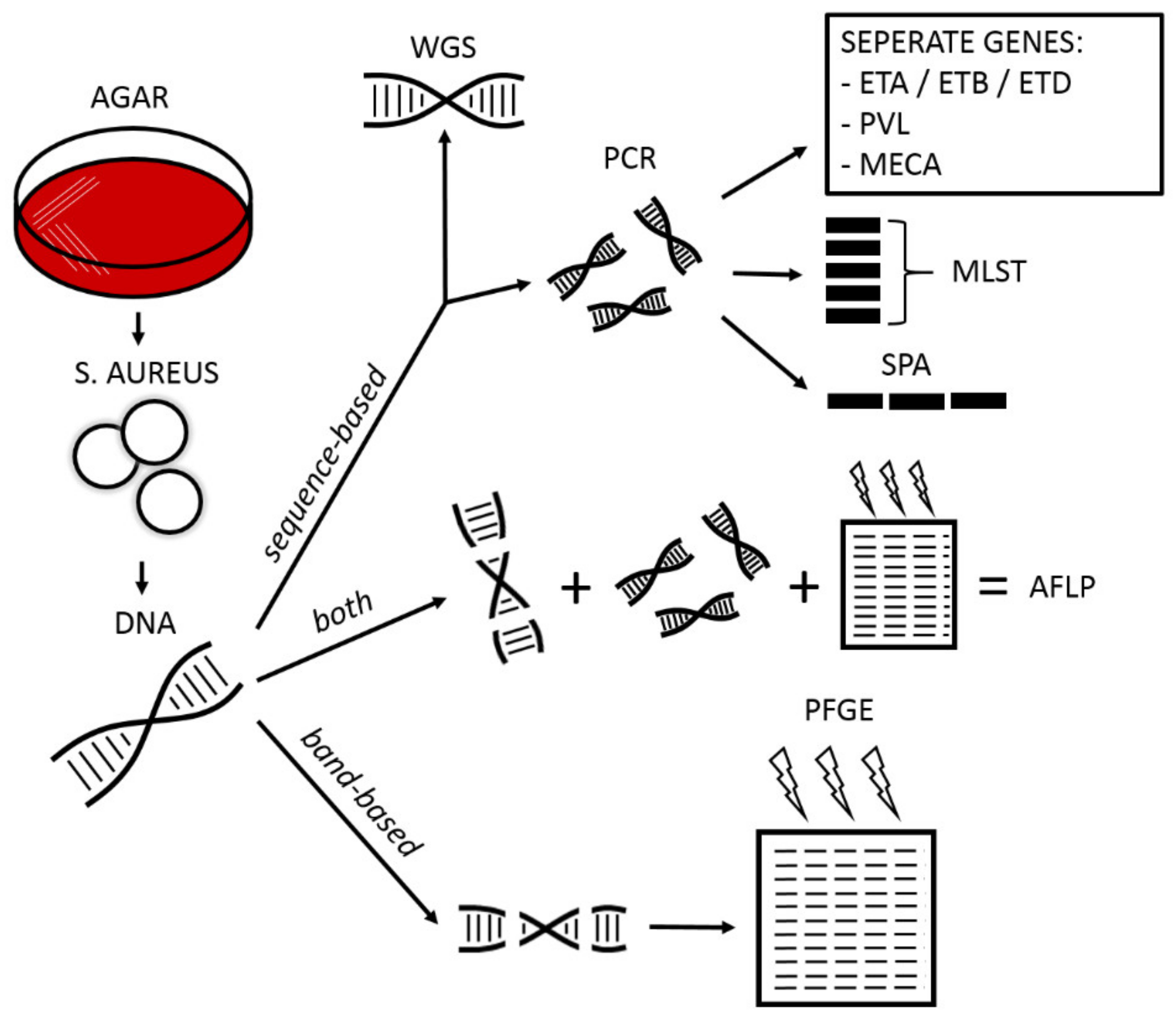 Antibiotics 12 00038 g004 Antibiotics 12 00038 g004