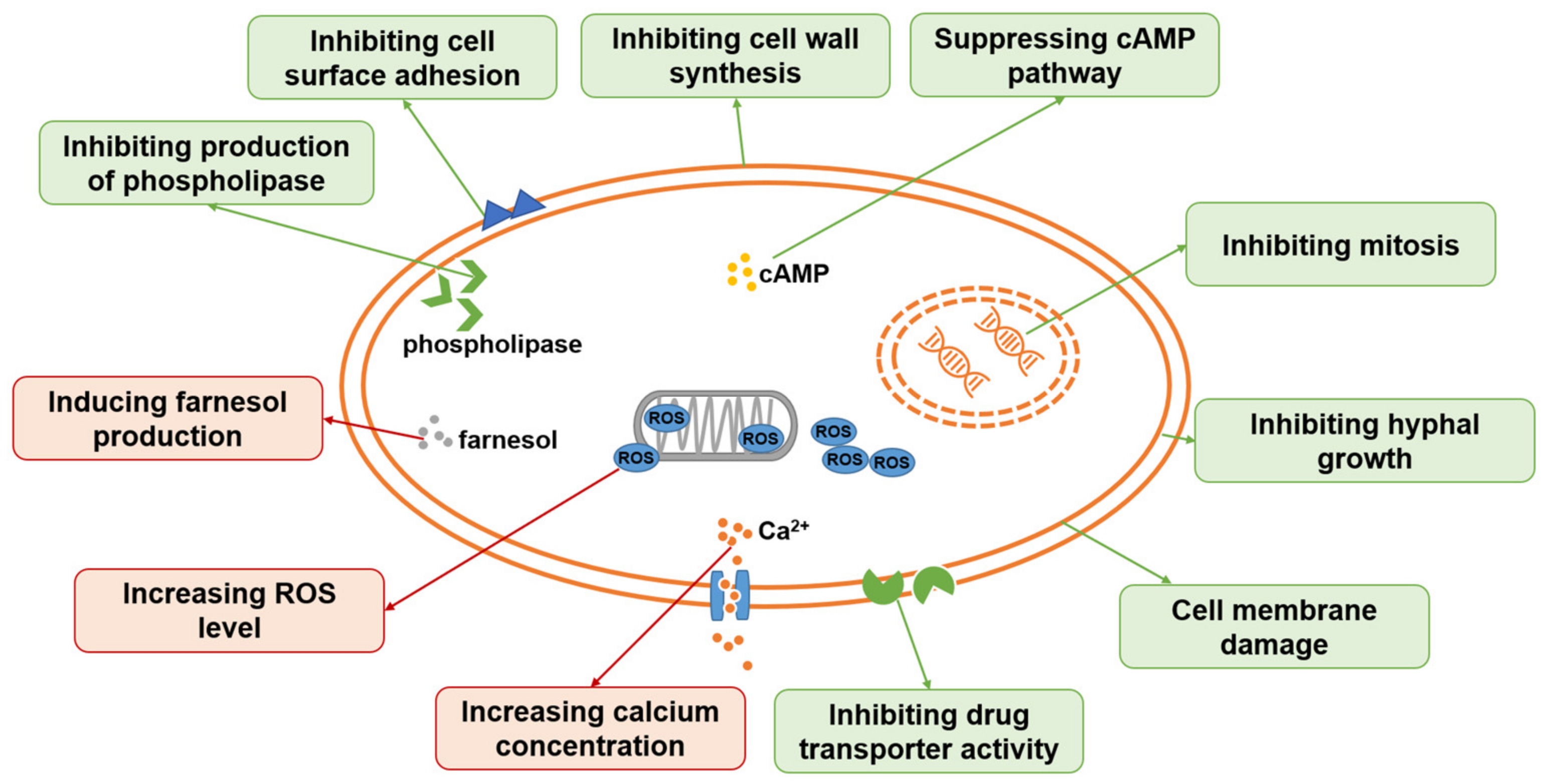 Antibiotics 12 00048 g002