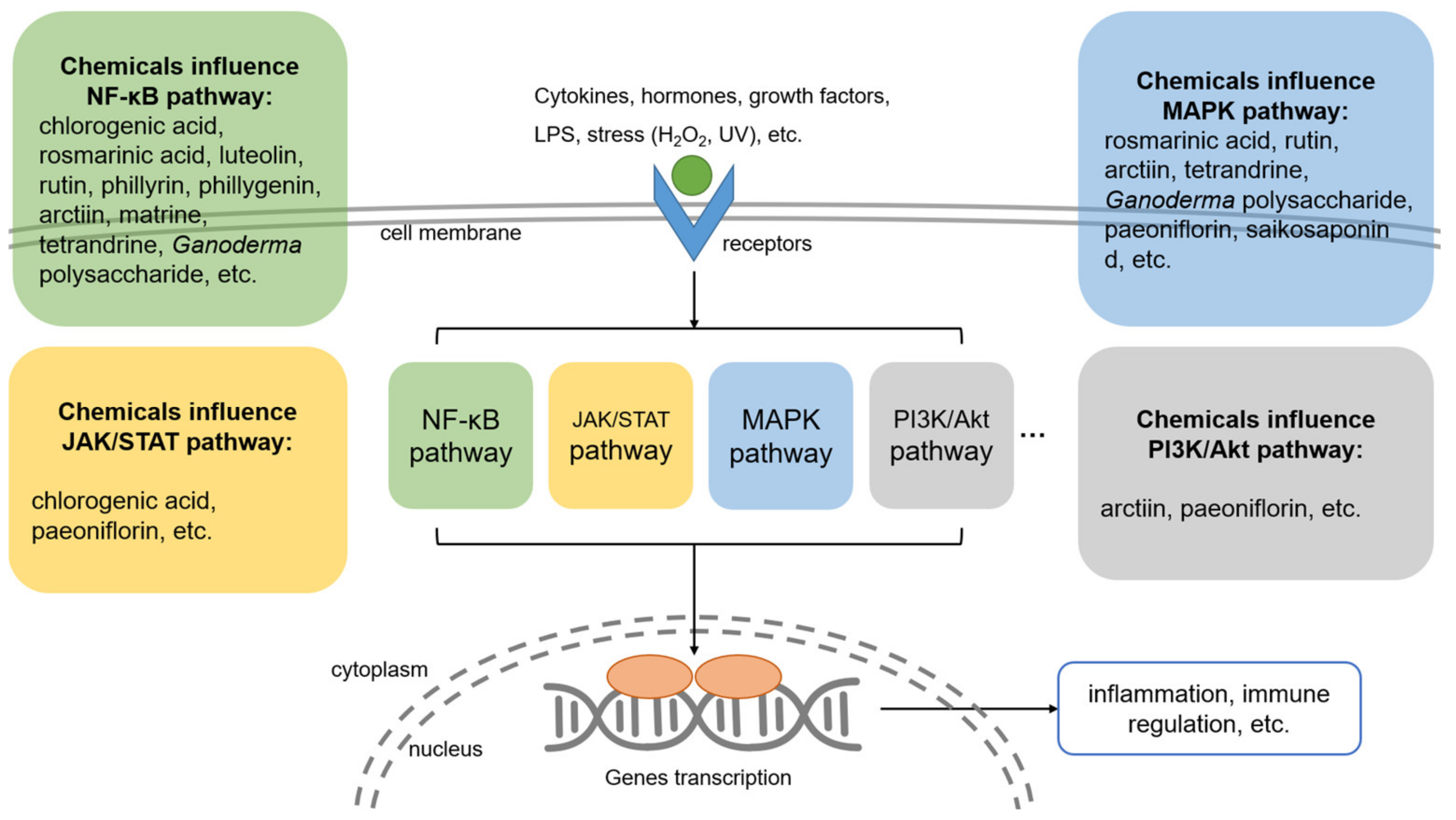 Antibiotics 12 00048 g003