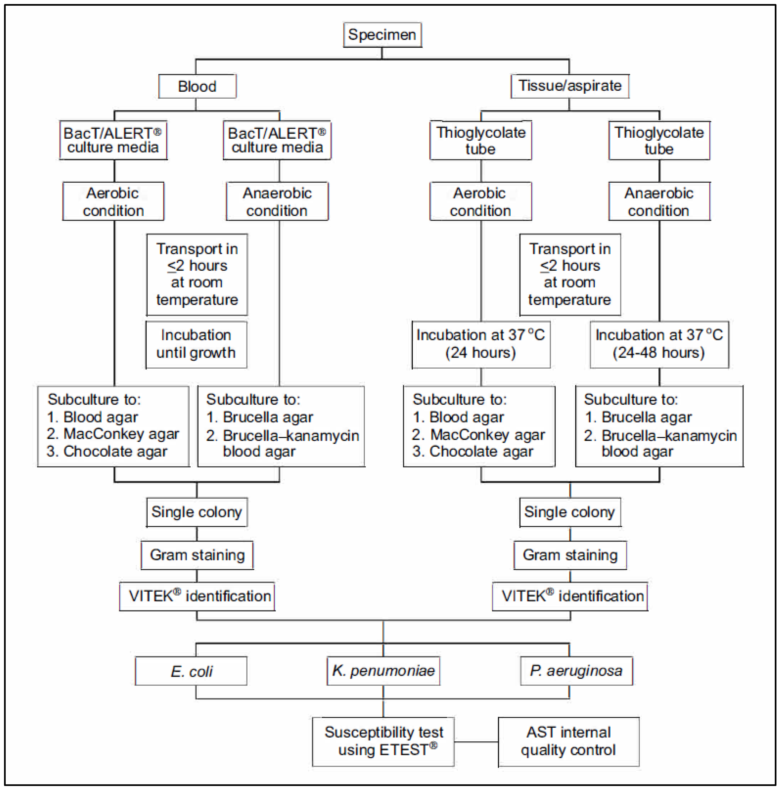 Antibiotics 12 00052 g002