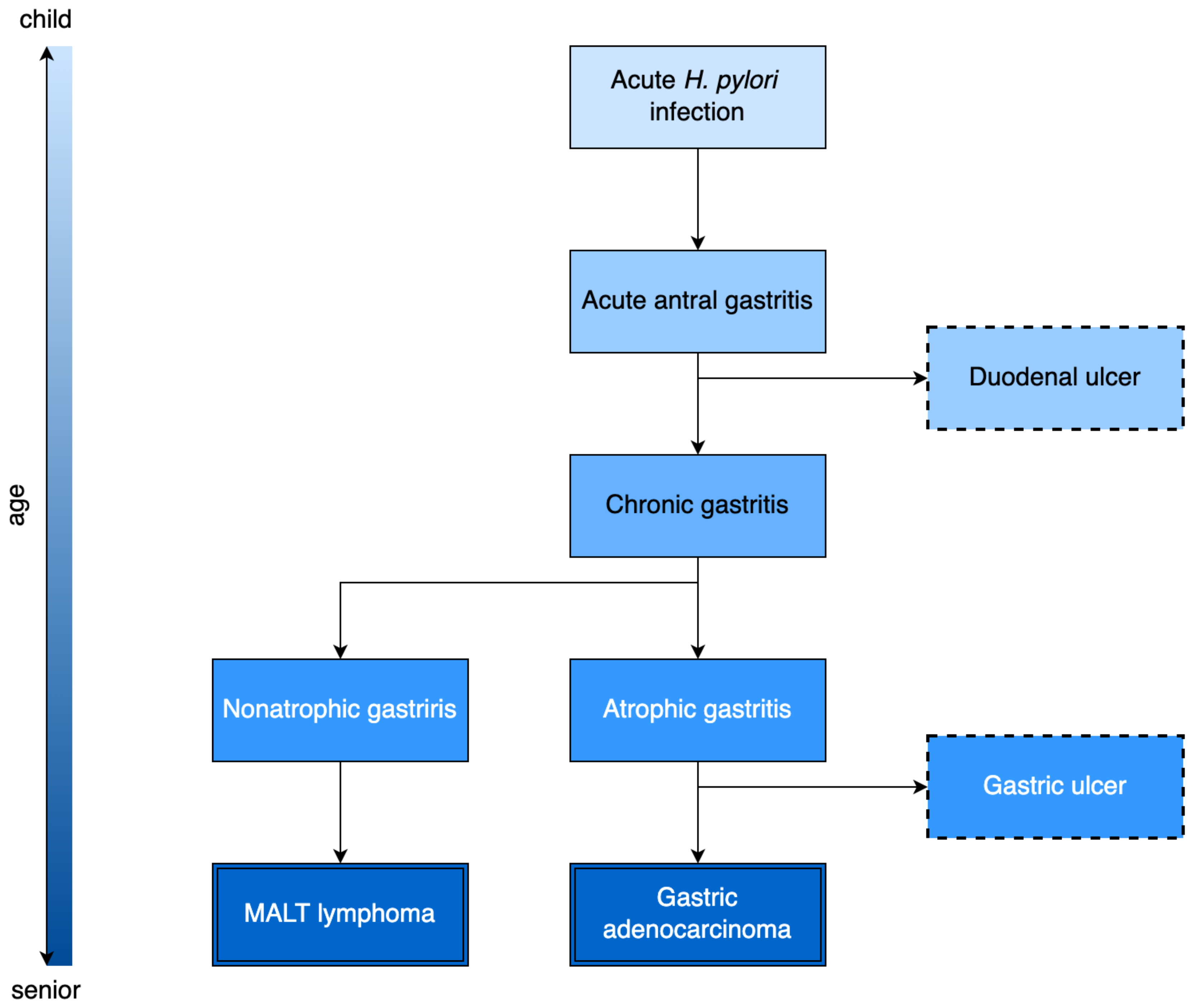 Antibiotics 12 00060 g002