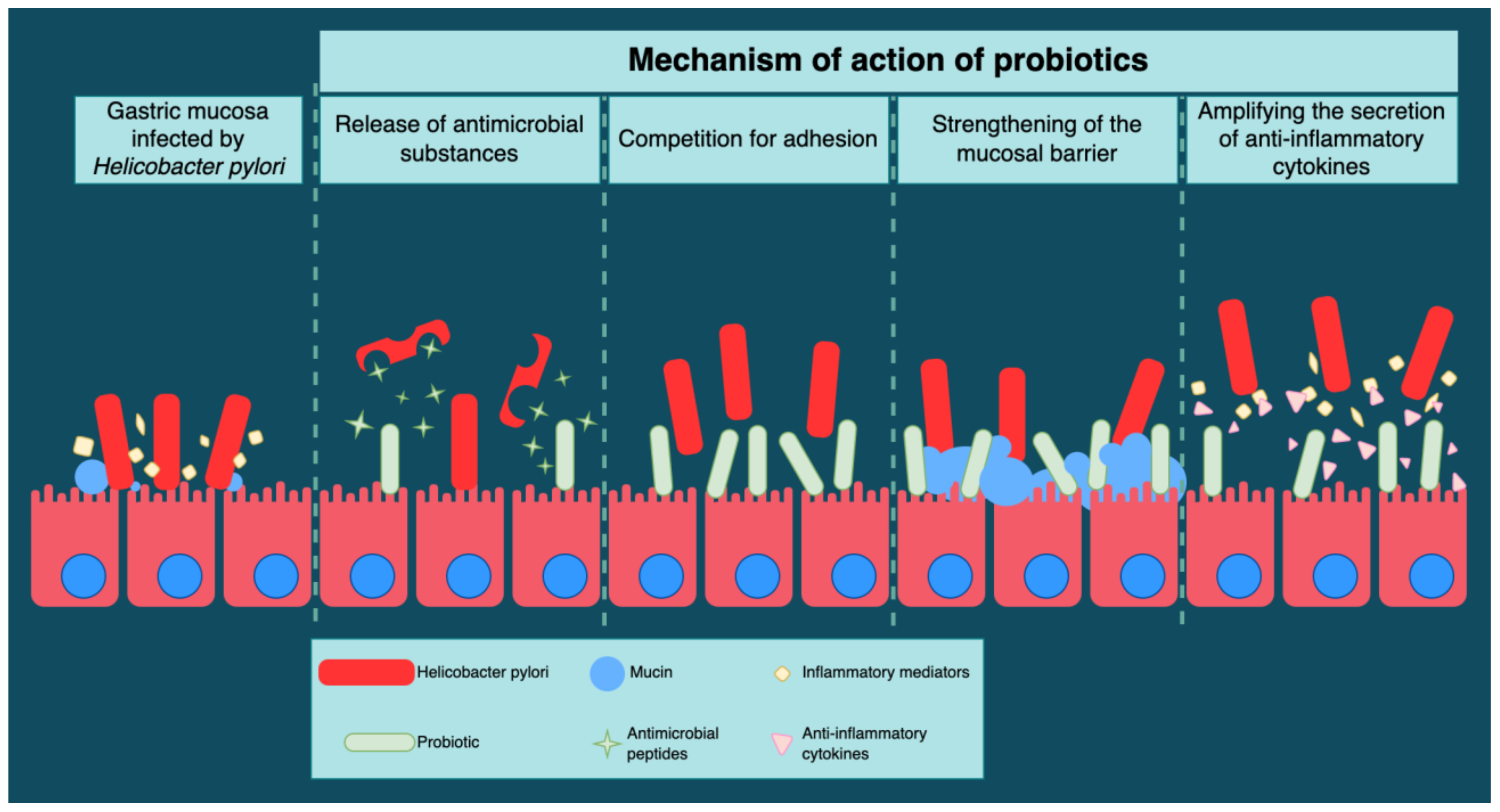 Antibiotics 12 00060 g004