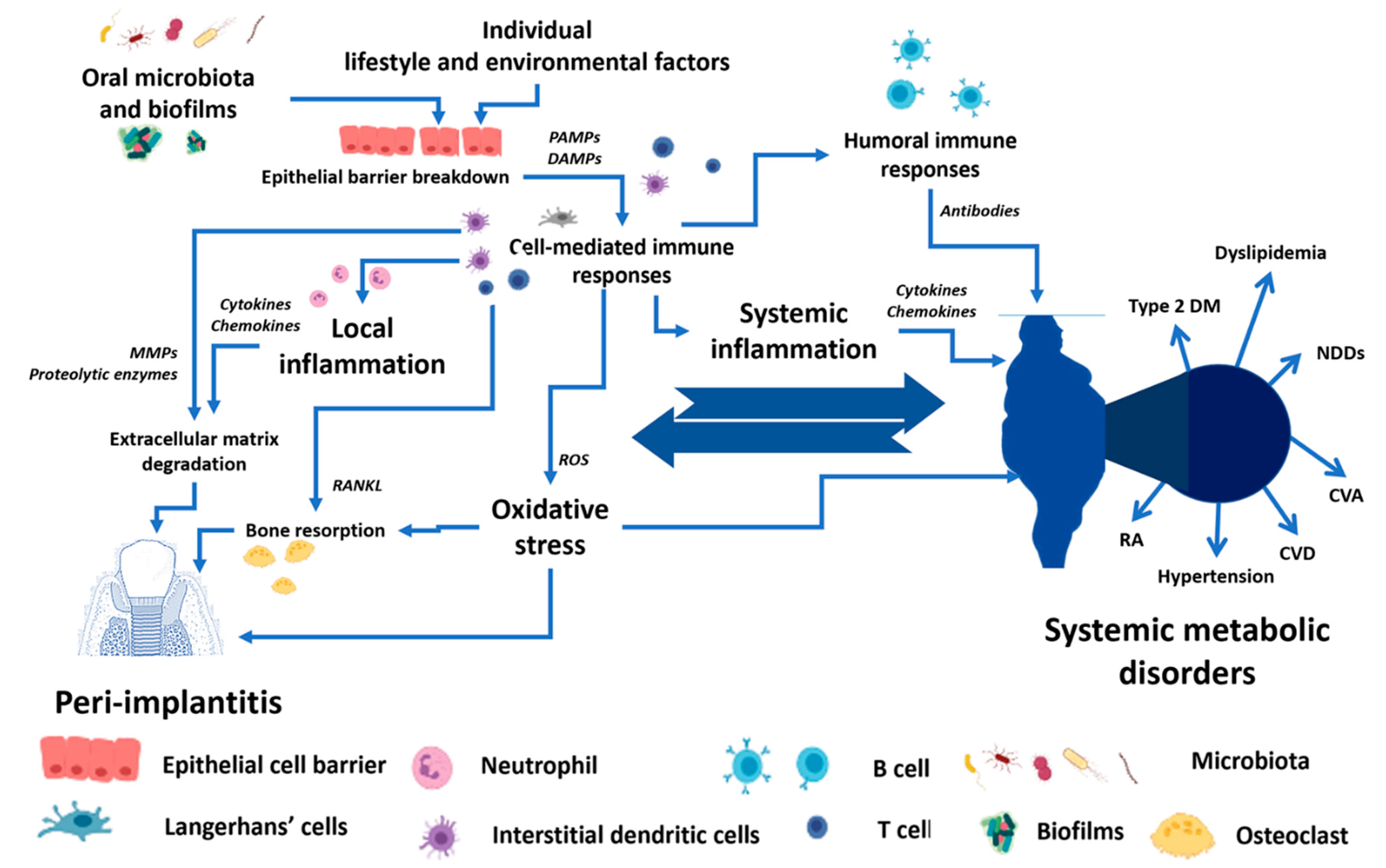 Antibiotics 12 00065 g001 Antibiotics 12 00065 g001