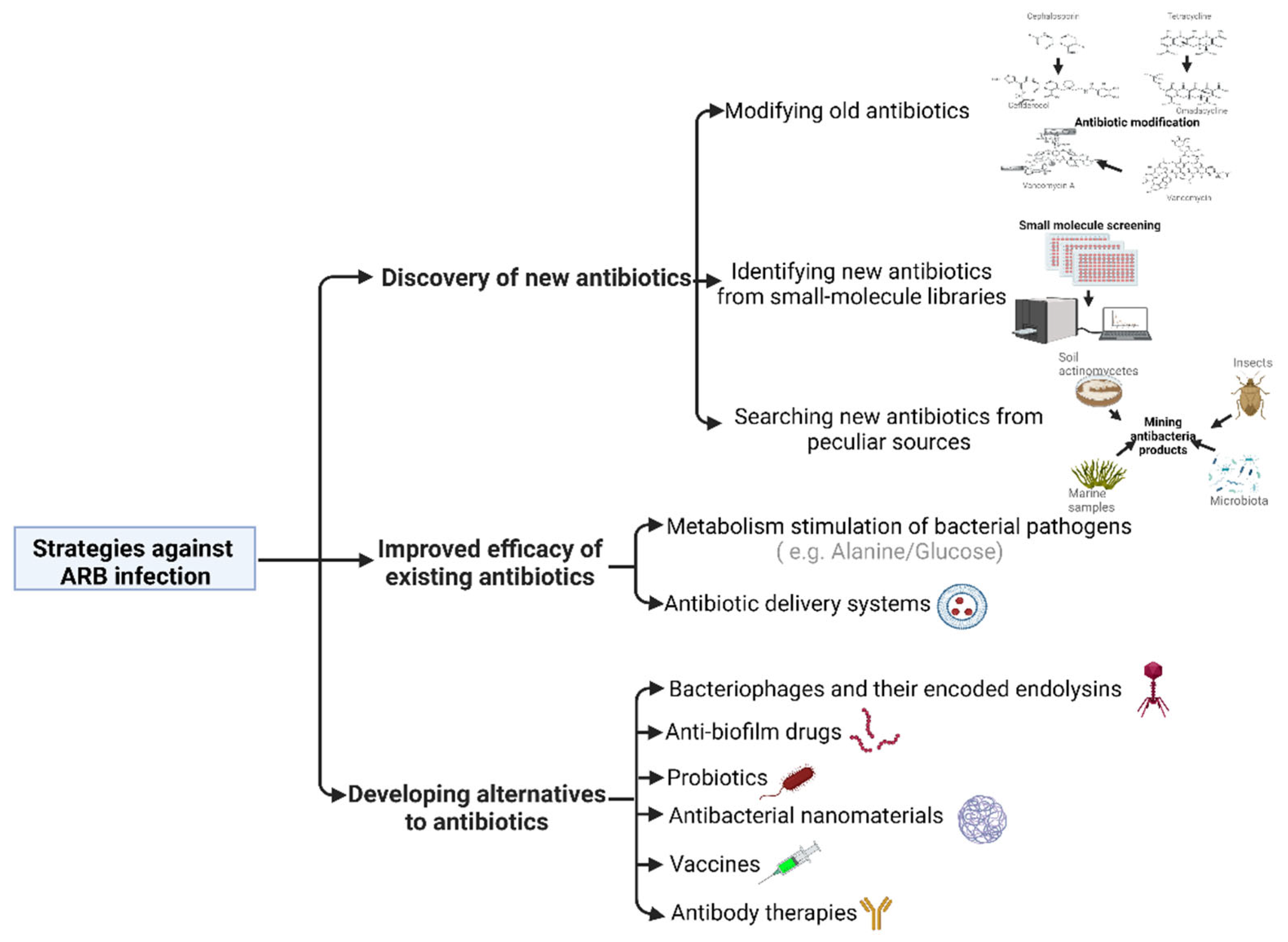 Antibiotics 12 00067 g001