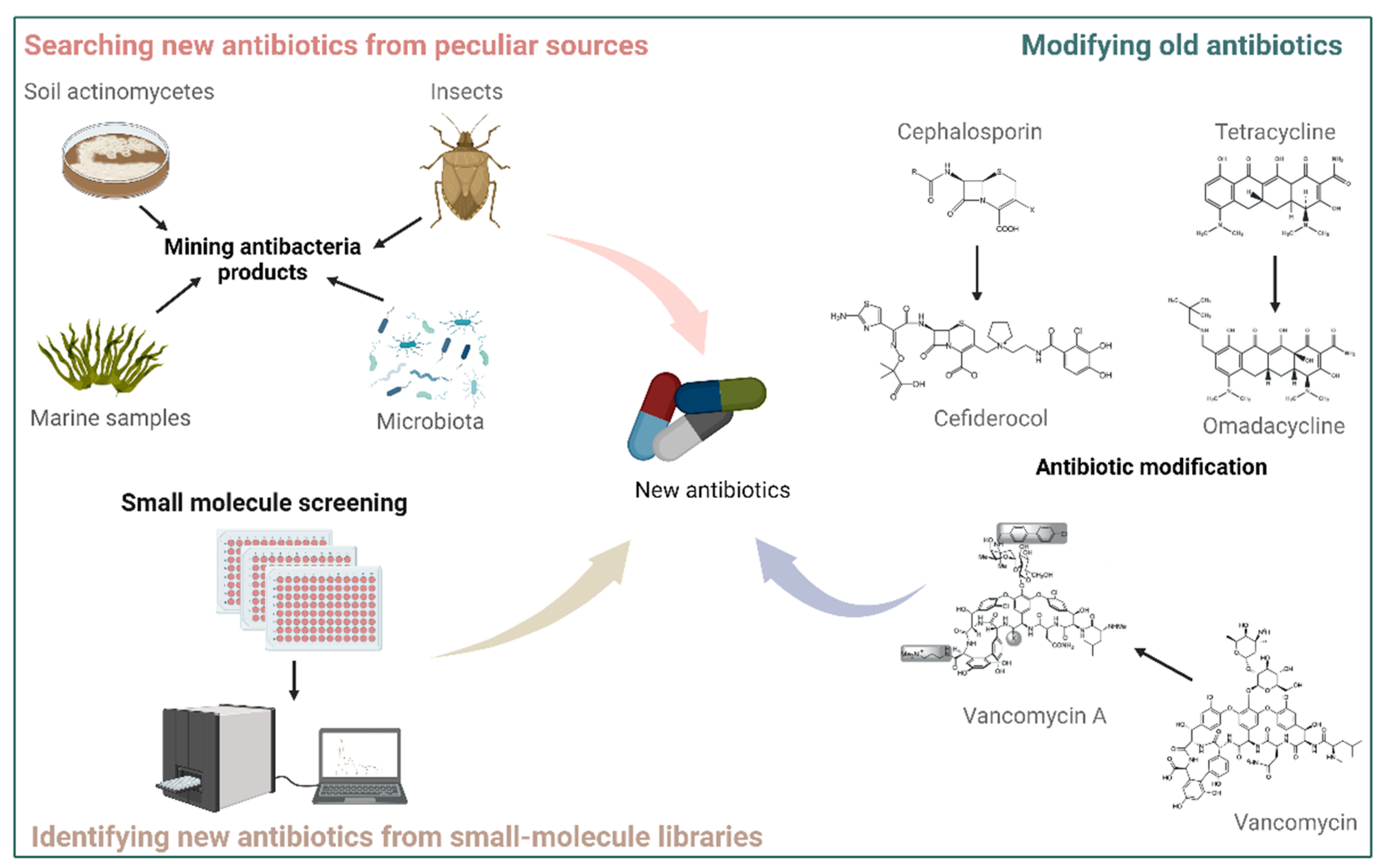 Antibiotics 12 00067 g002
