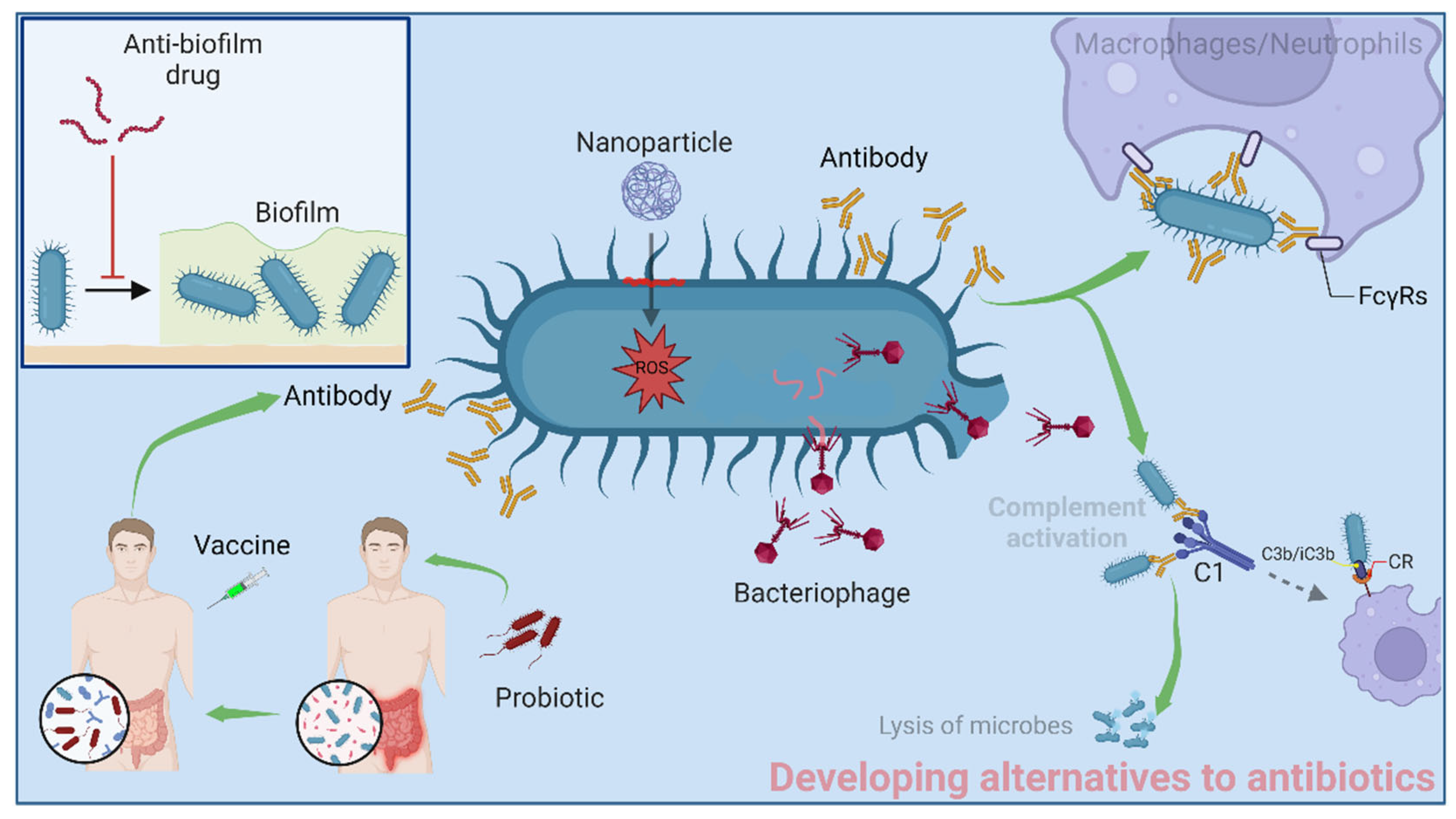 Antibiotics 12 00067 g004