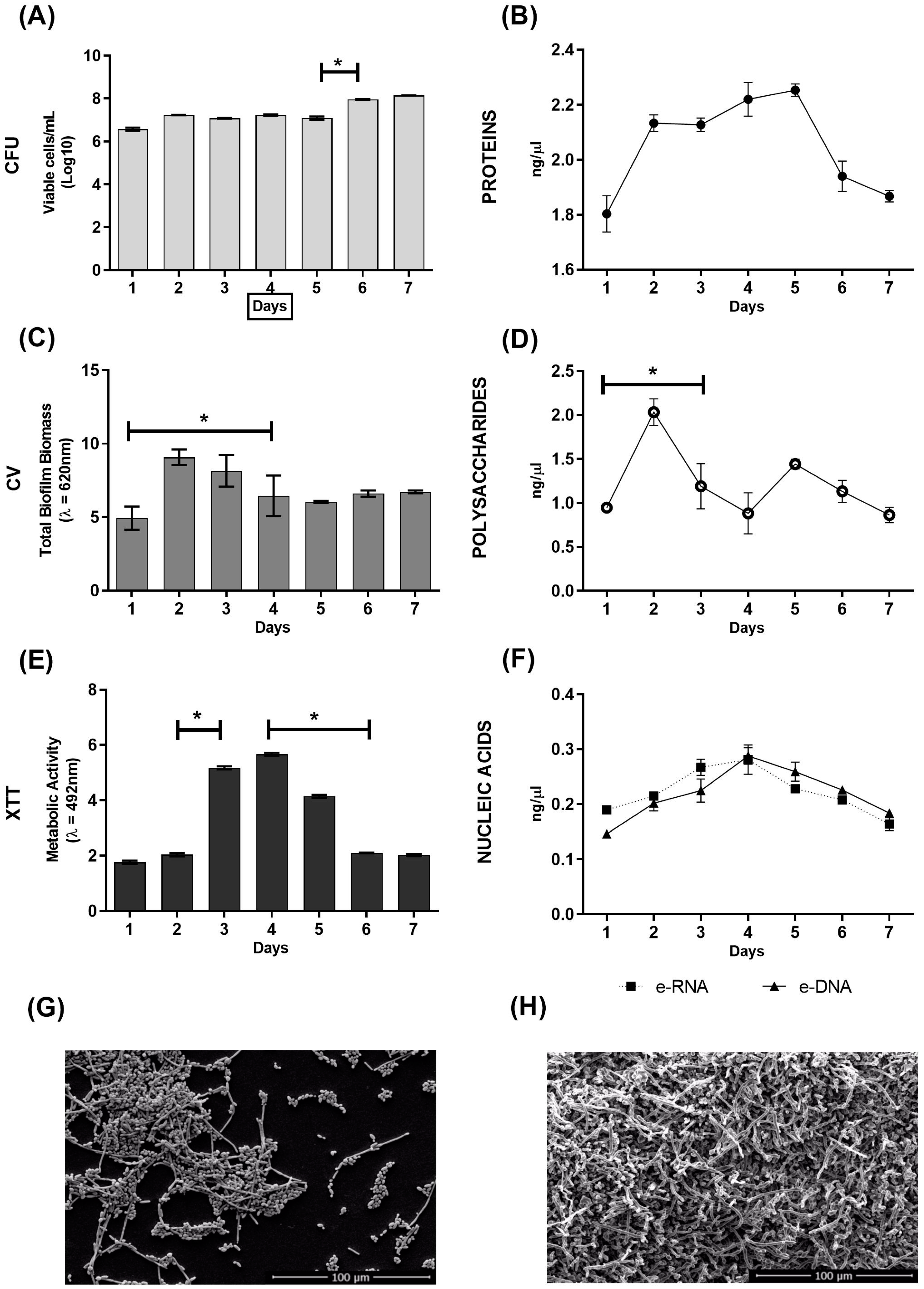 Antibiotics 12 00072 g001