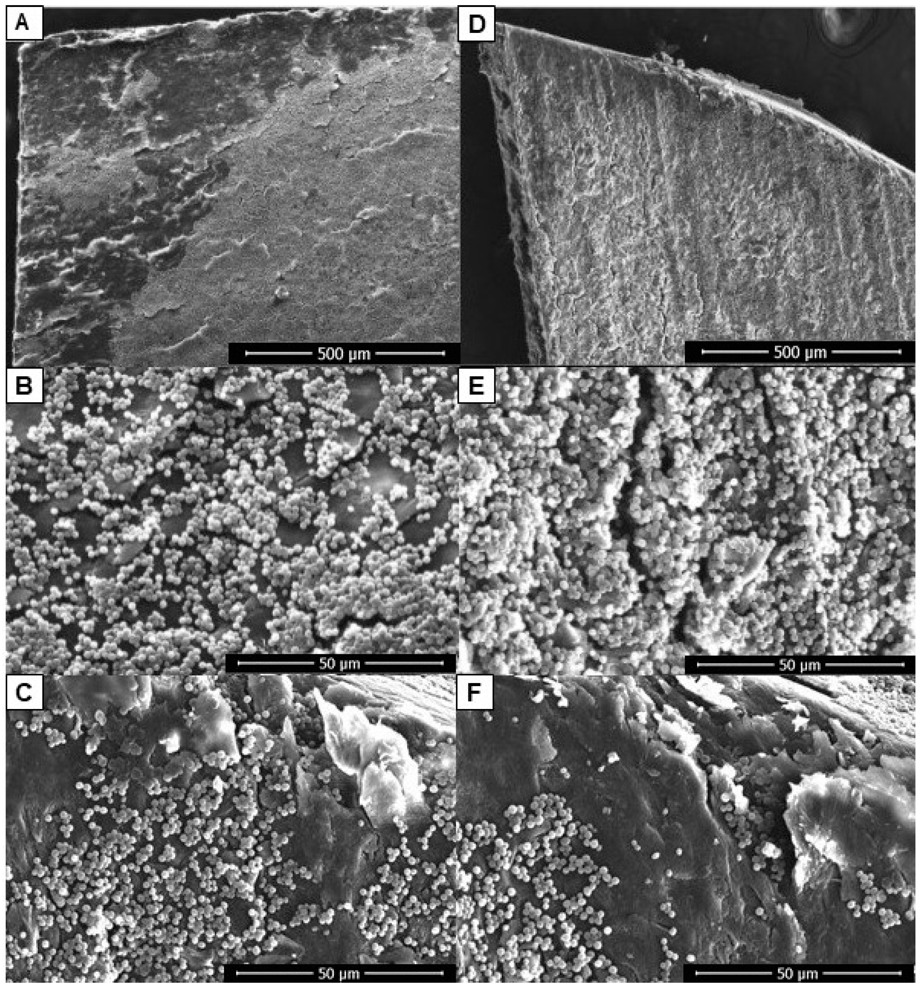 Antibiotics 12 00072 g002