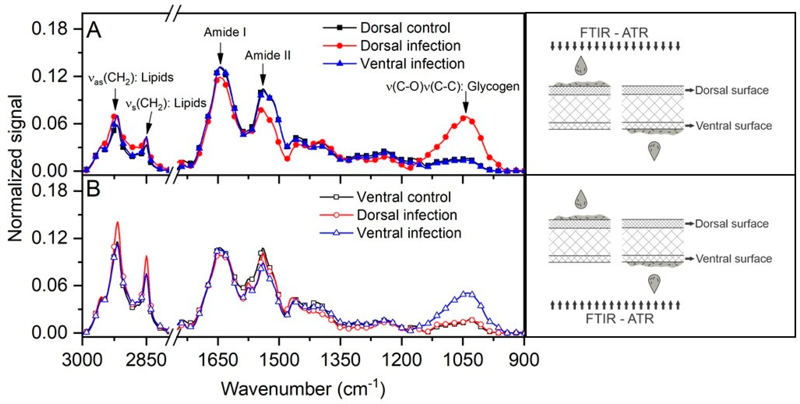 Antibiotics 12 00072 g003