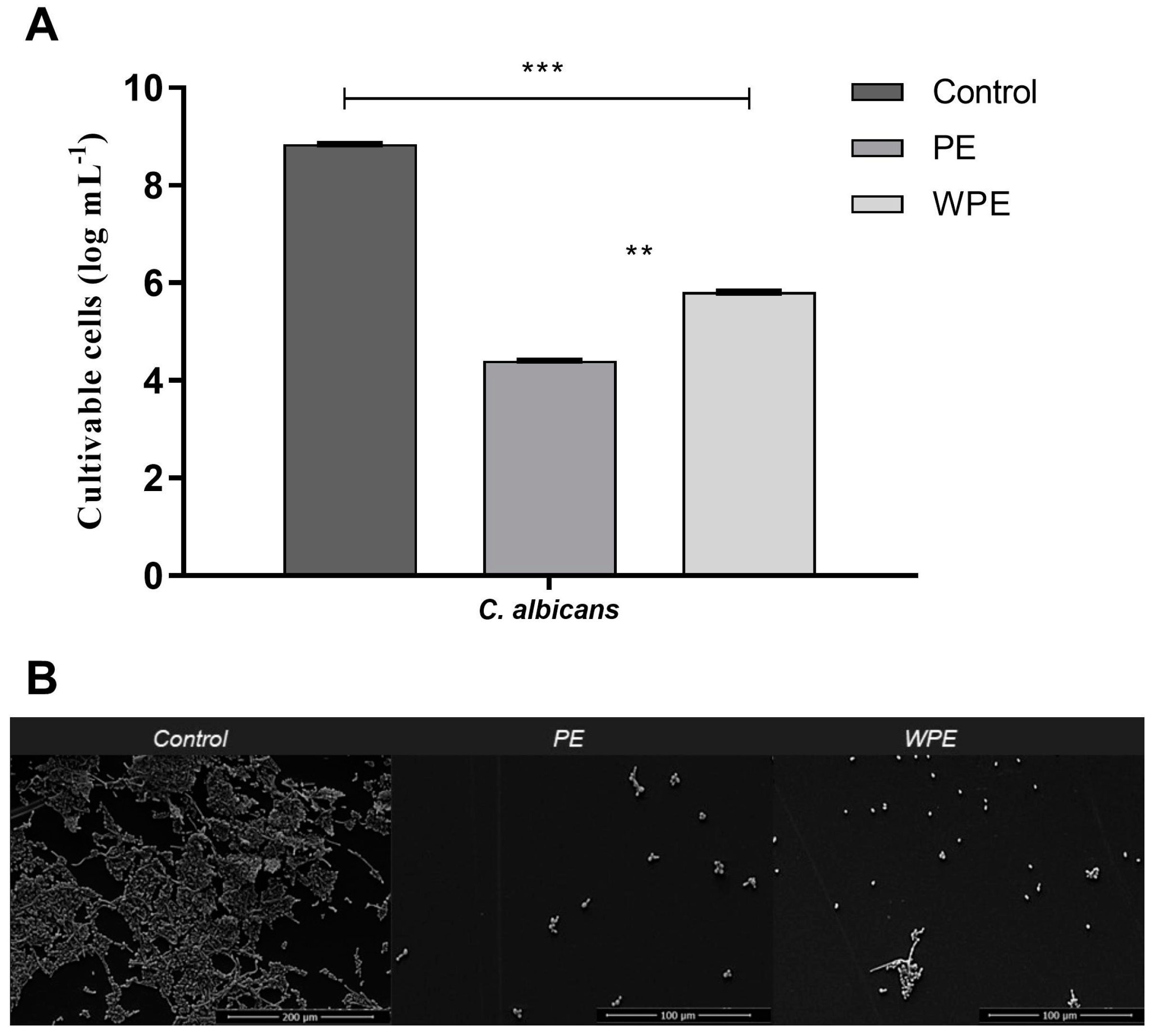 Antibiotics 12 00072 g004