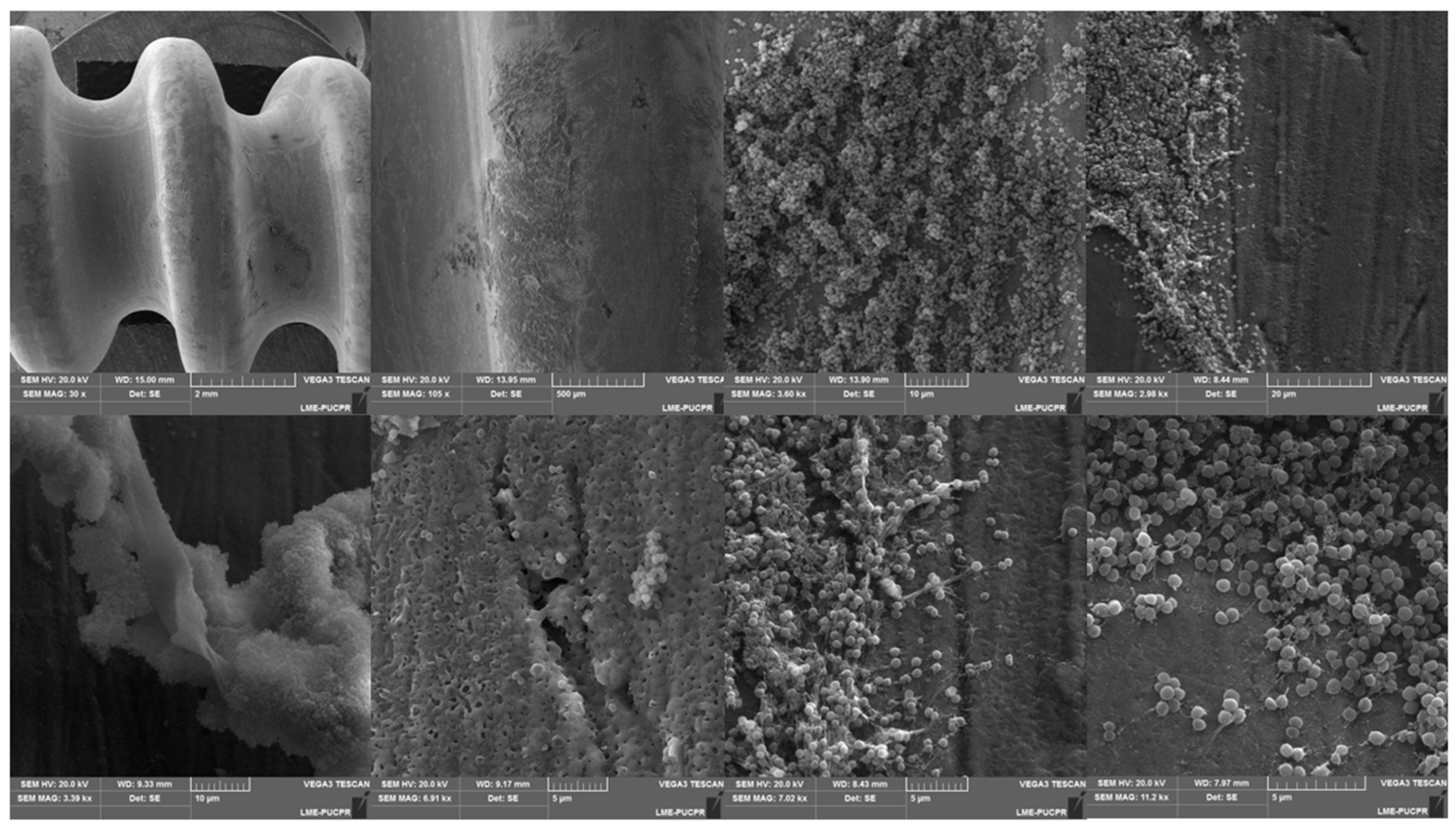 Antibiotics 12 00087 g003