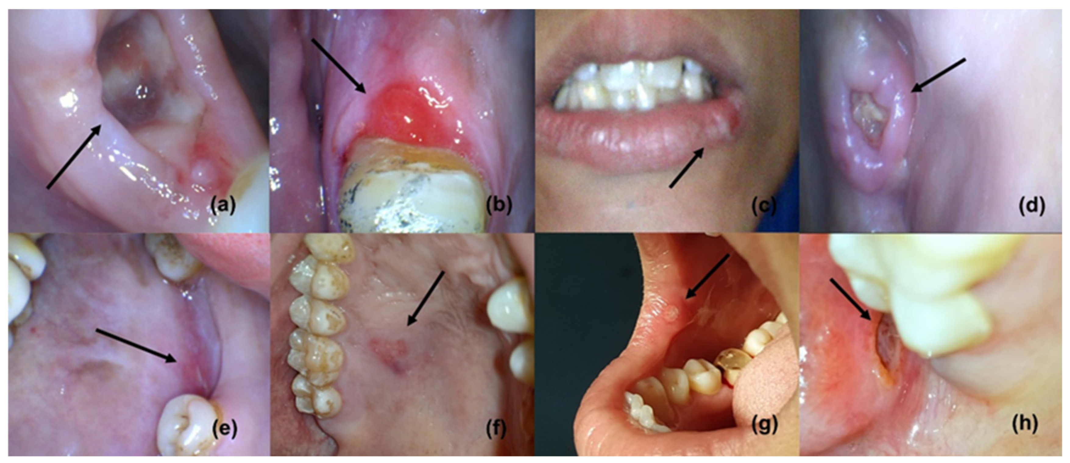 Antibiotics 12 00121 g001