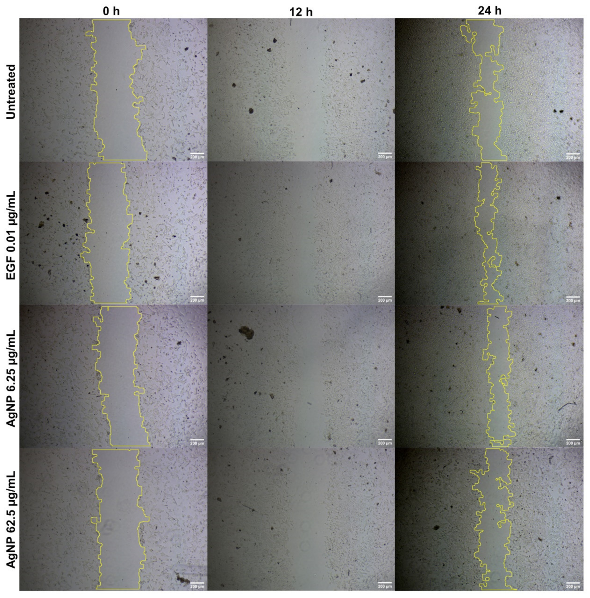 Antibiotics 12 00121 g004