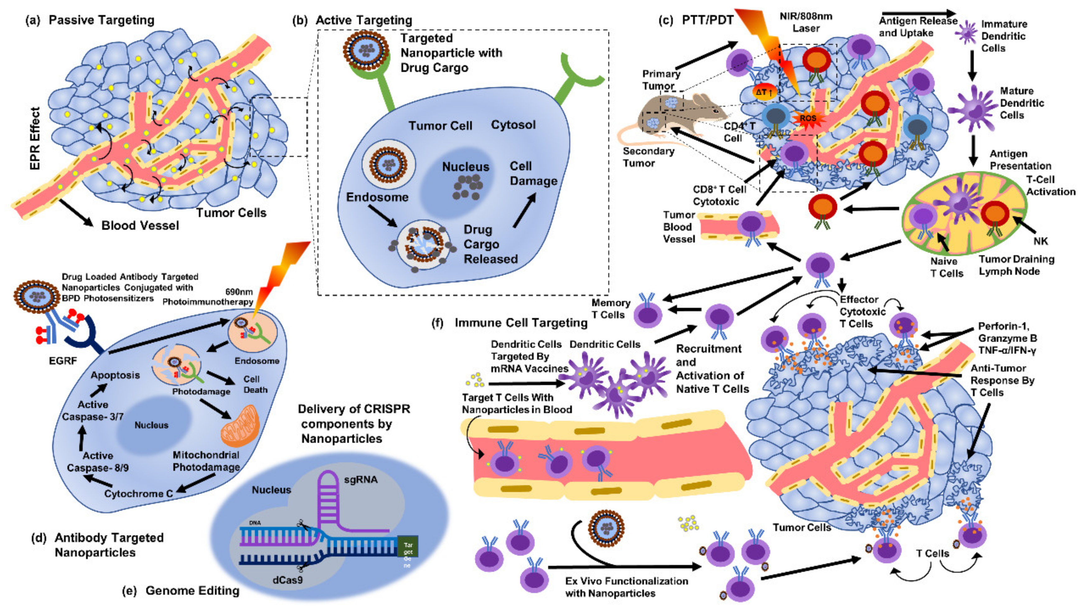 Antibiotics 12 00121 g005