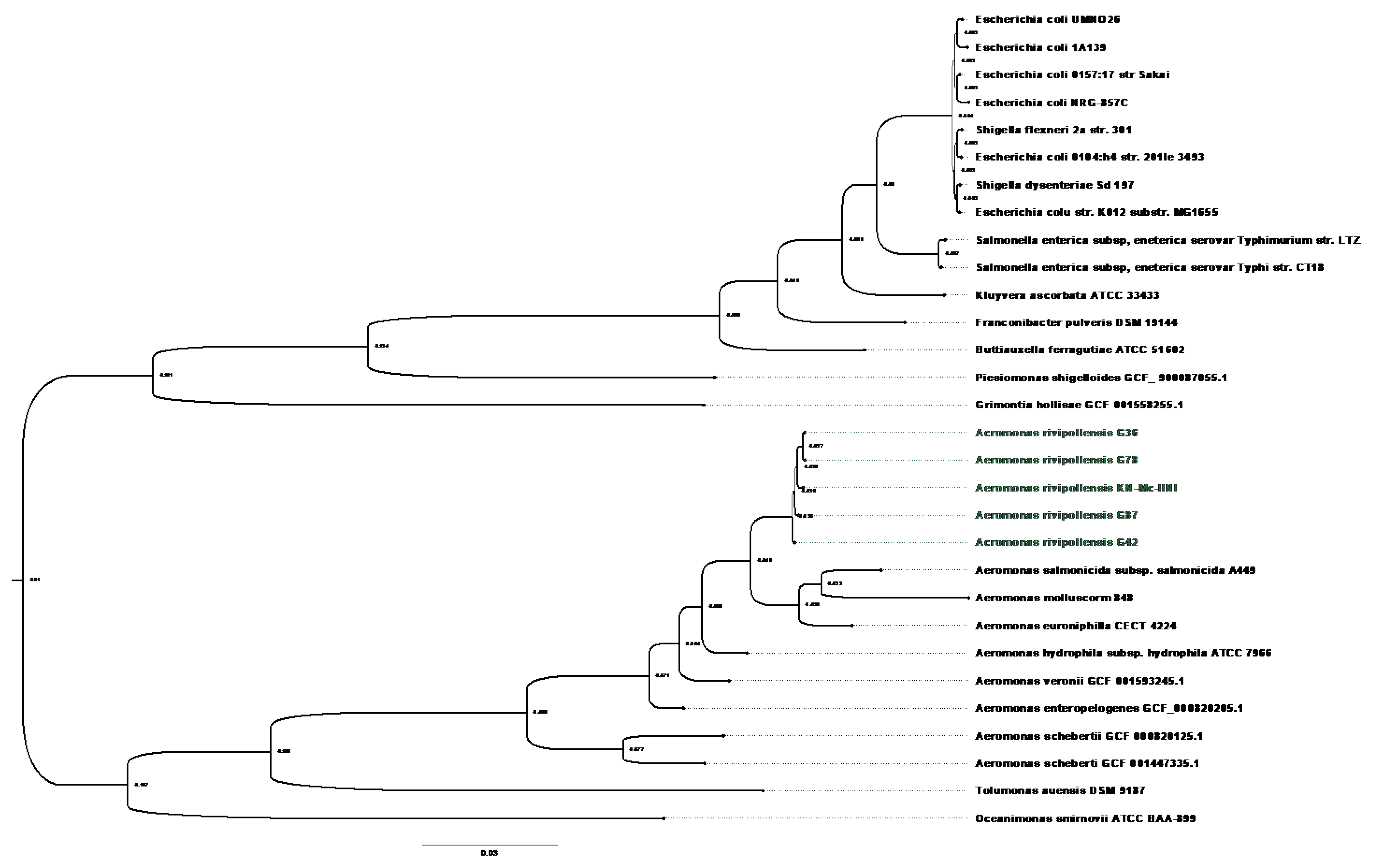 Antibiotics 12 00131 g001 Antibiotics 12 00131 g001