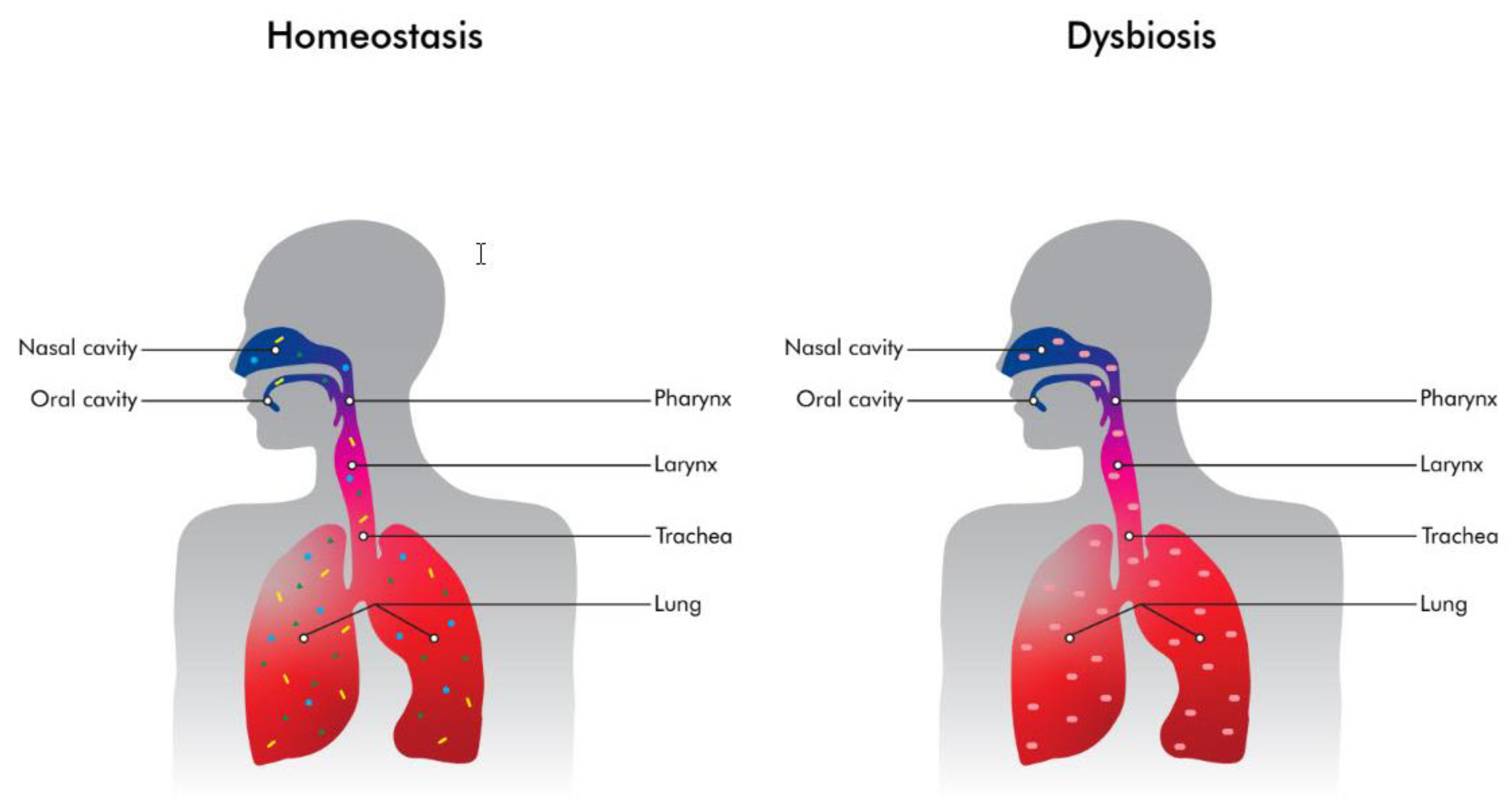 Antibiotics 12 00140 g001 Antibiotics 12 00140 g001