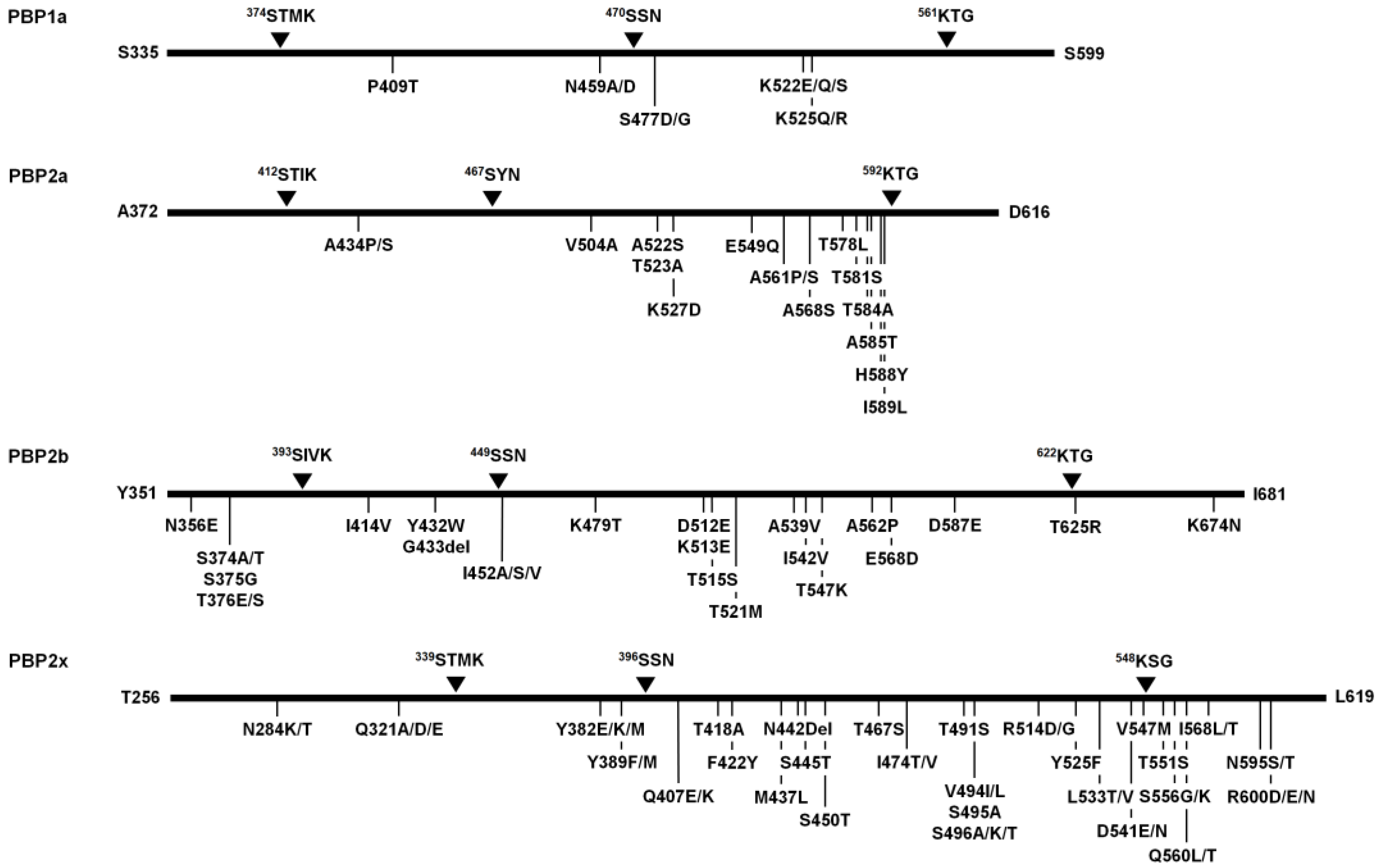 Antibiotics 12 00158 g002