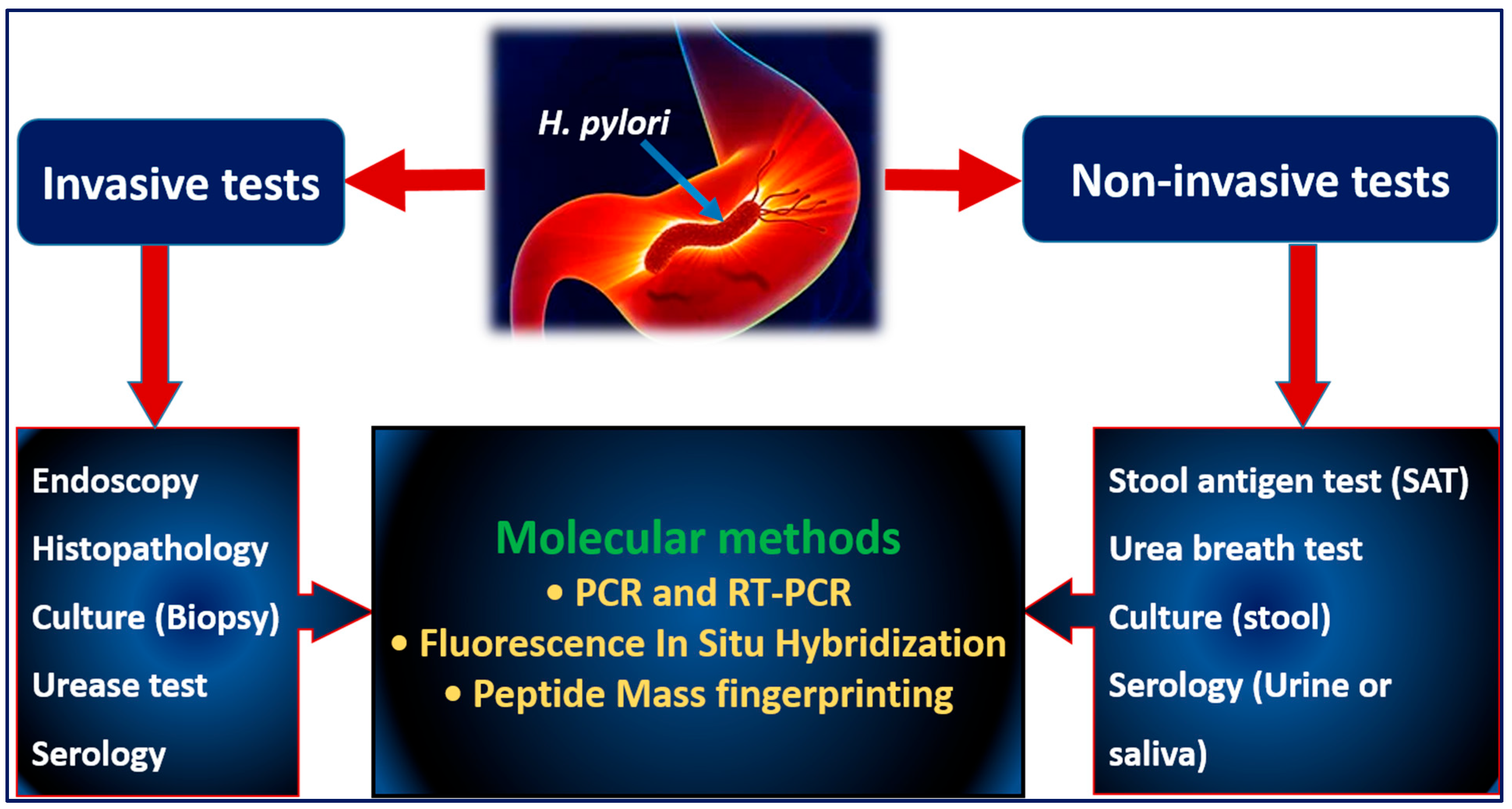 Antibiotics 12 00191 g002