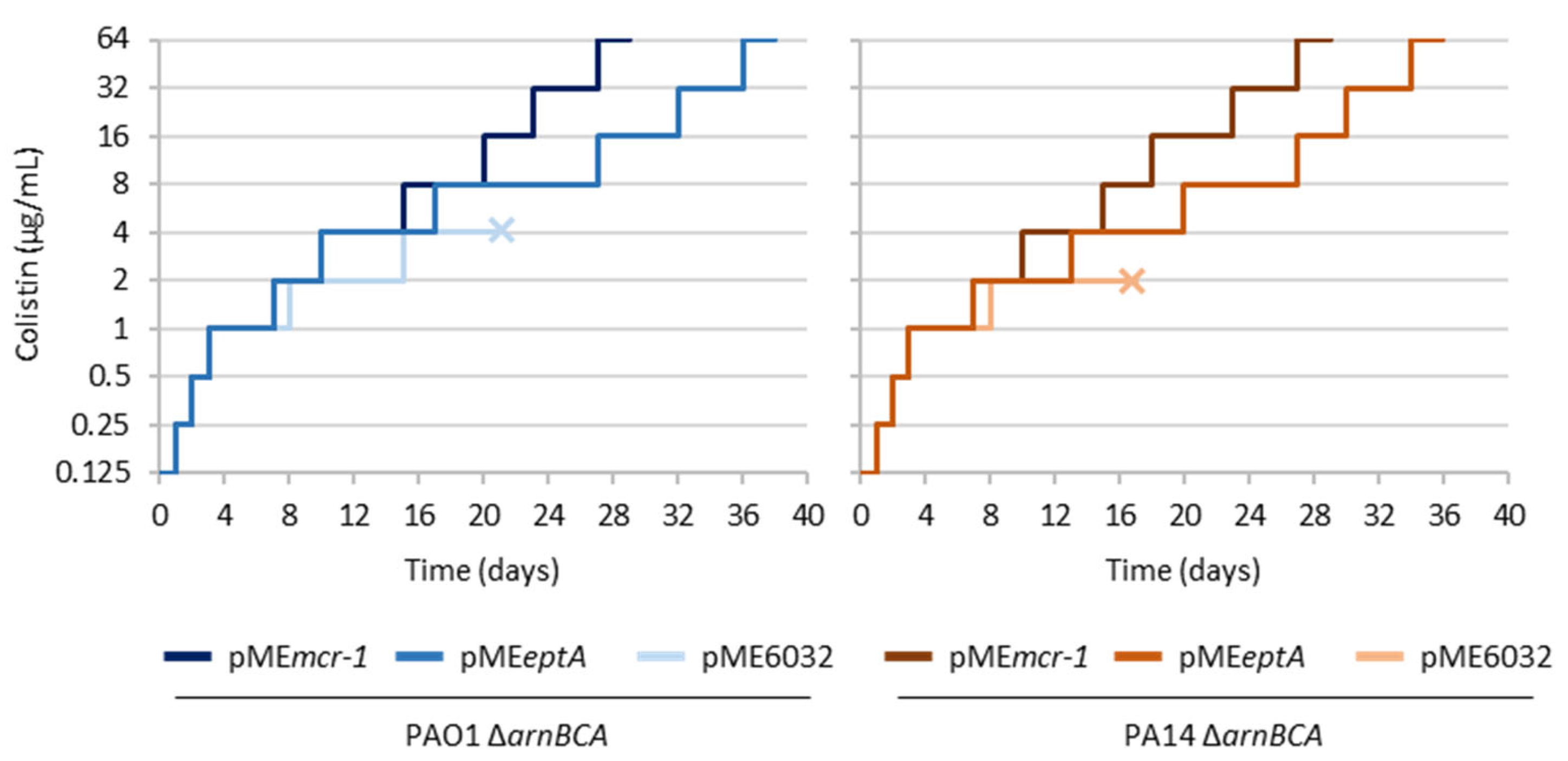 Antibiotics 12 00200 g001