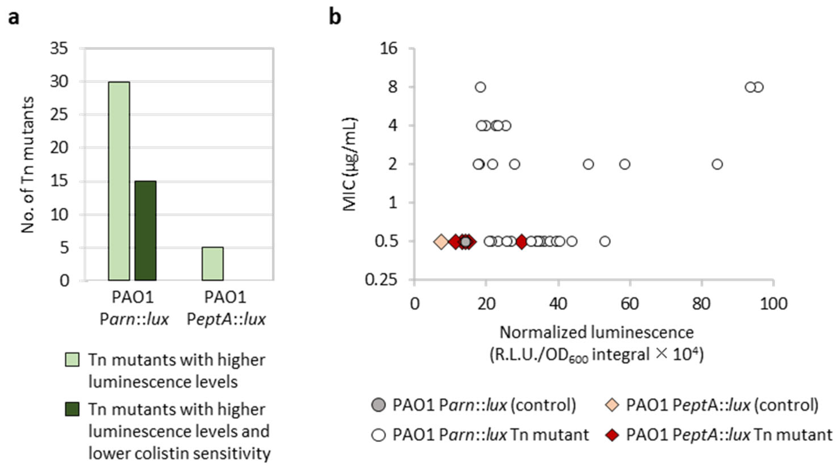 Antibiotics 12 00200 g003